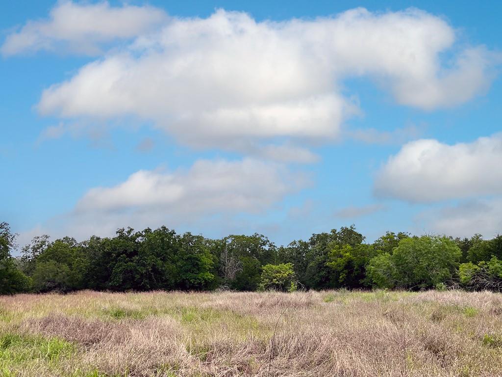 2231 Greens Creek Rd, Ledbetter, TX 78946