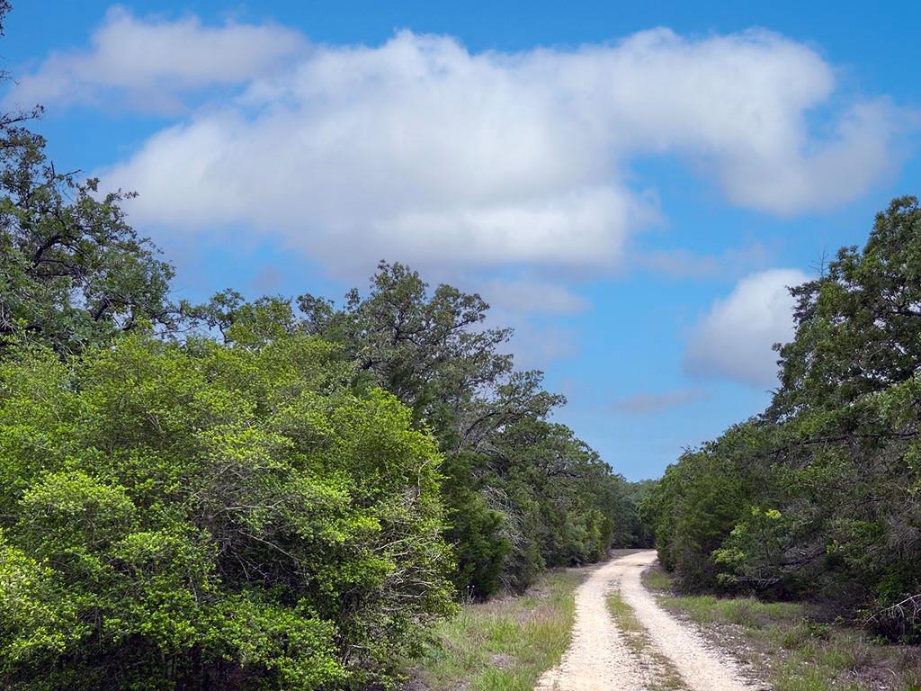 2231 Greens Creek Rd, Ledbetter, TX 78946