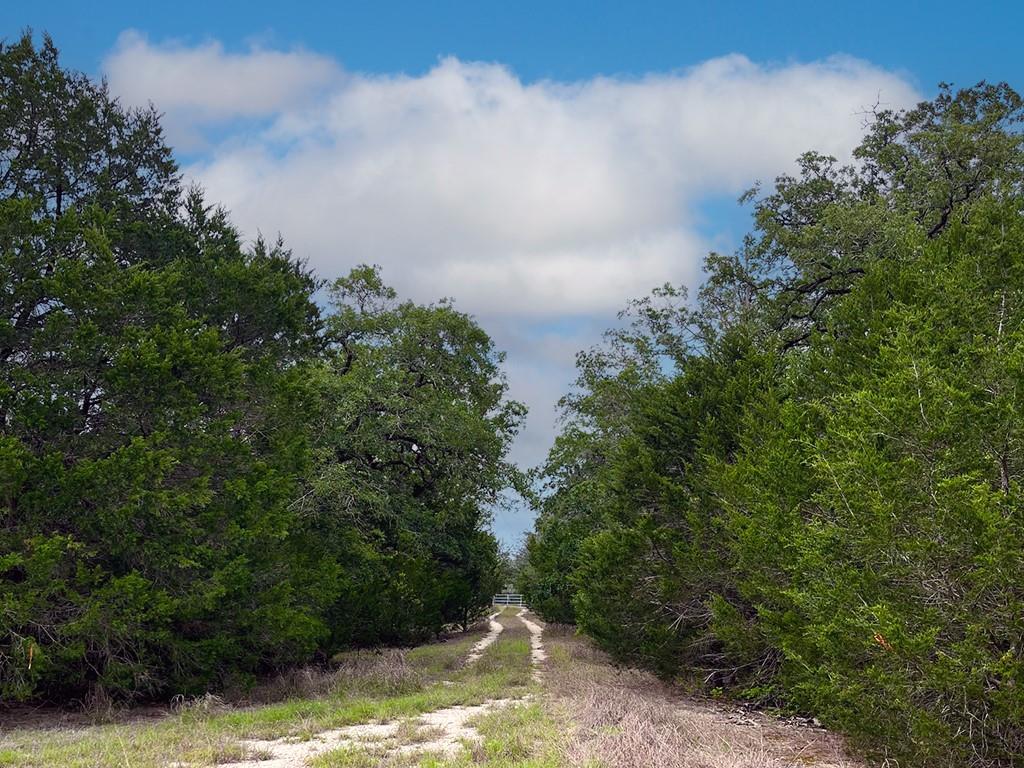 2231 Greens Creek Rd, Ledbetter, TX 78946