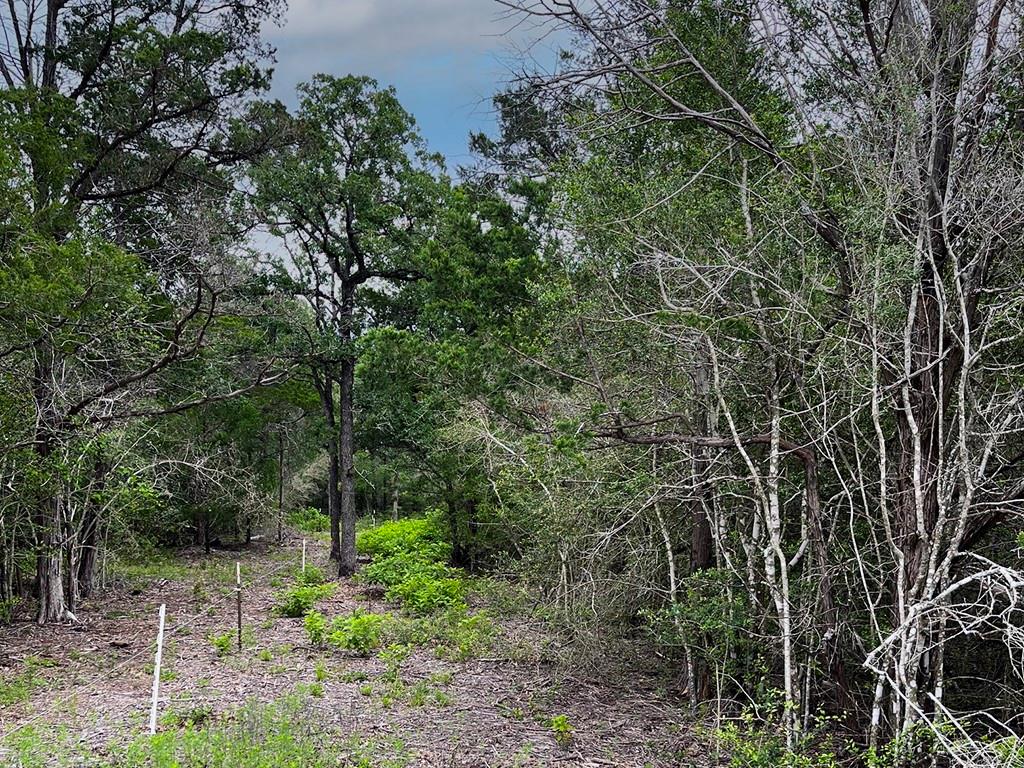 2231 Greens Creek Rd, Ledbetter, TX 78946