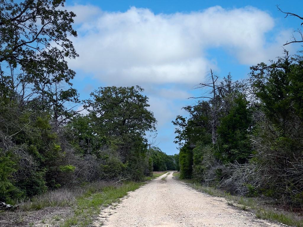 2231 Greens Creek Rd, Ledbetter, TX 78946