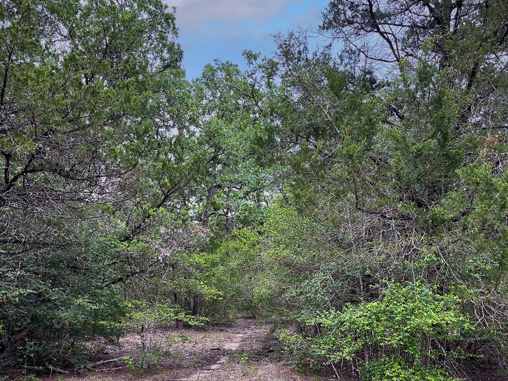 2231 Greens Creek Rd, Ledbetter, TX 78946