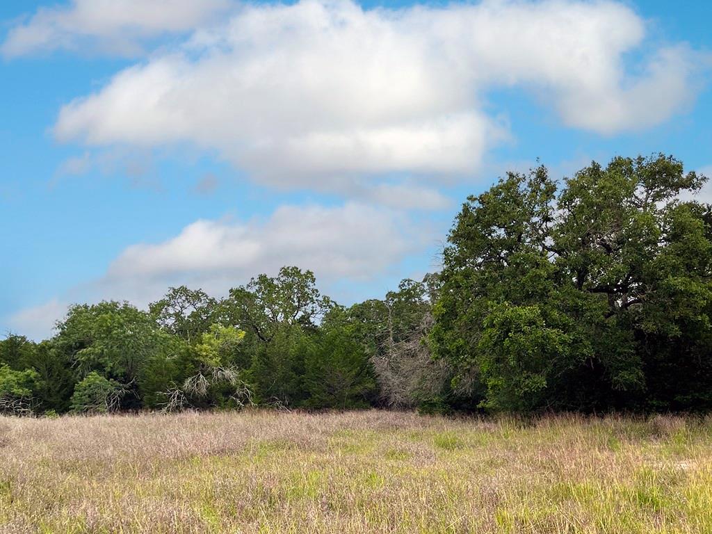 2231 Greens Creek Rd, Ledbetter, TX 78946