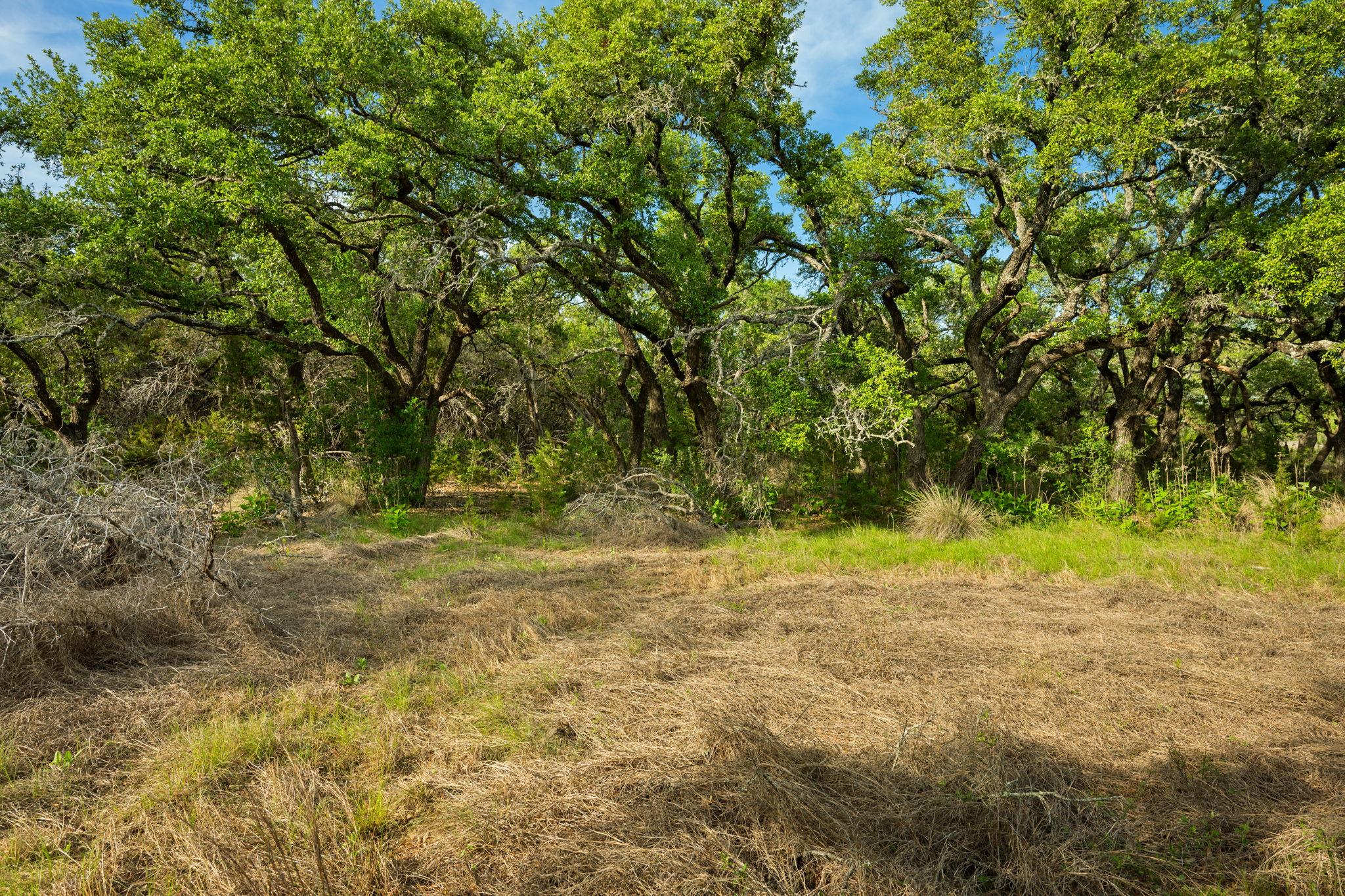 Tract 1 Esperanza Trail, Johnson City, TX 78636