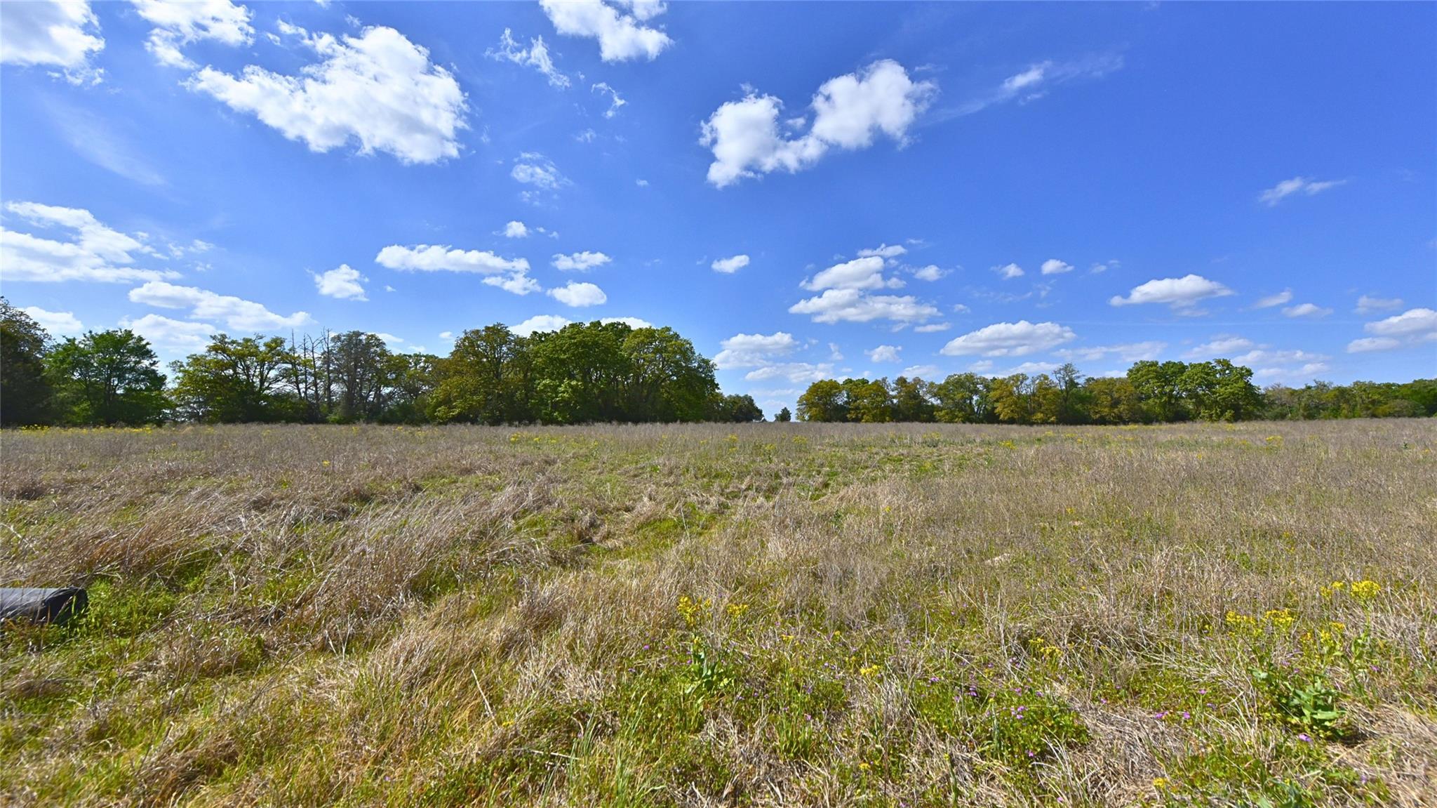TBD Legacy Road (5 acres), Caldwell, TX 77836