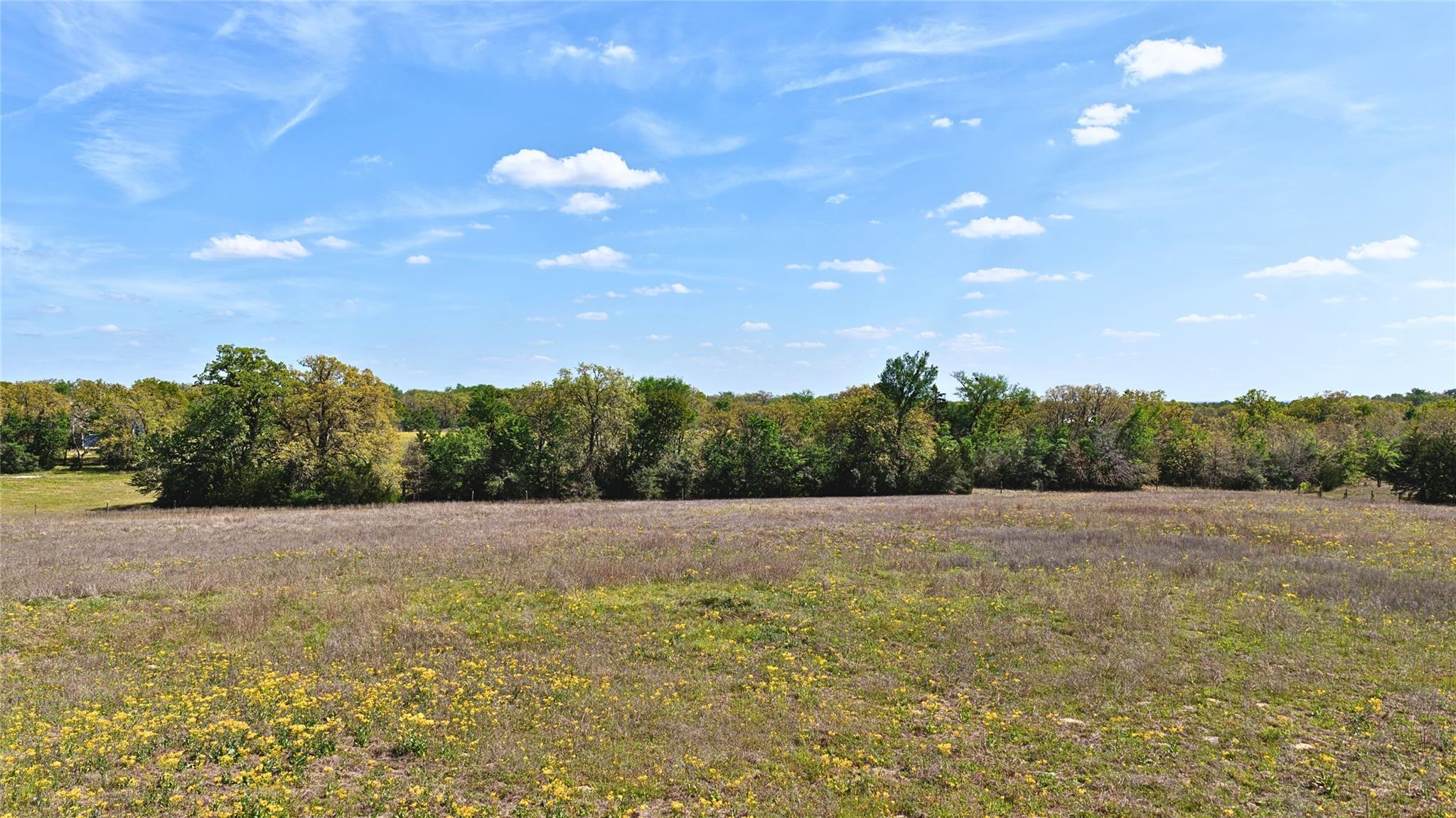TBD Legacy Road (5 acres), Caldwell, TX 77836