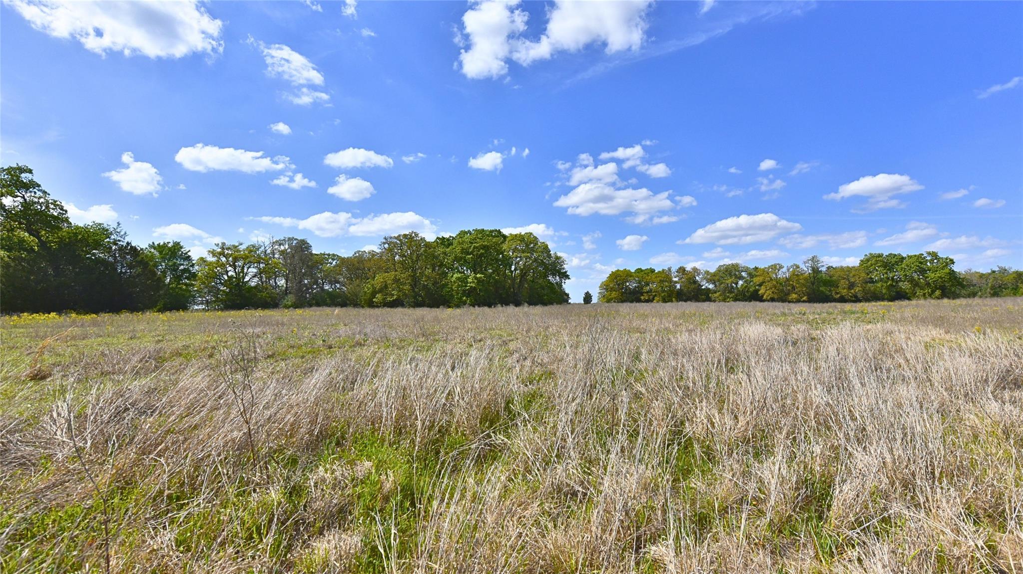 TBD Legacy Road (5 acres), Caldwell, TX 77836