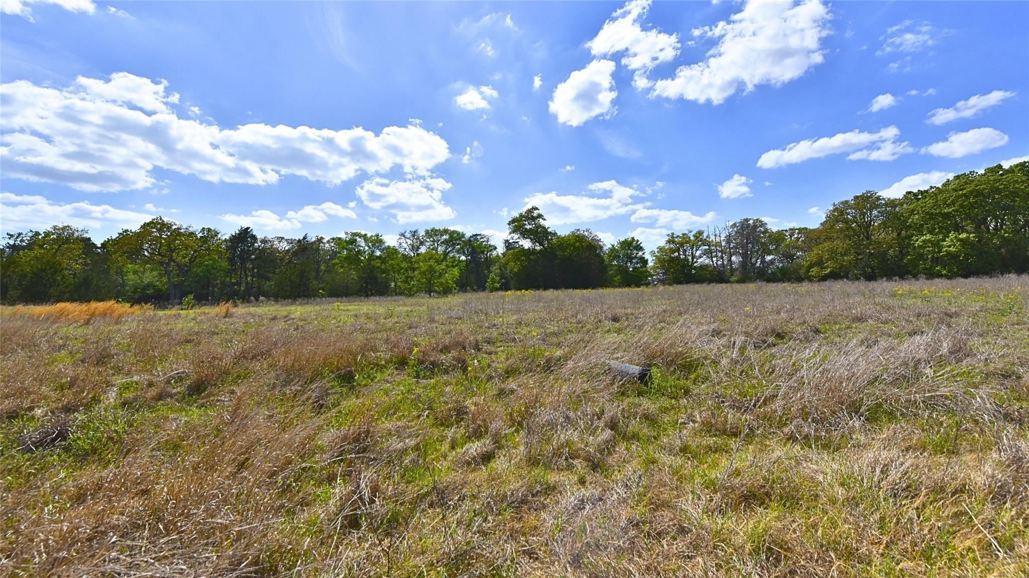 TBD Legacy Road (5 acres), Caldwell, TX 77836
