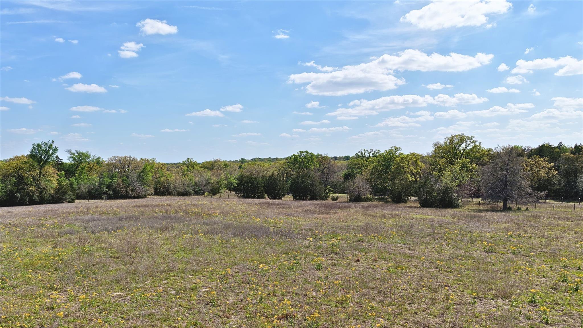 TBD Legacy Road (5 acres), Caldwell, TX 77836
