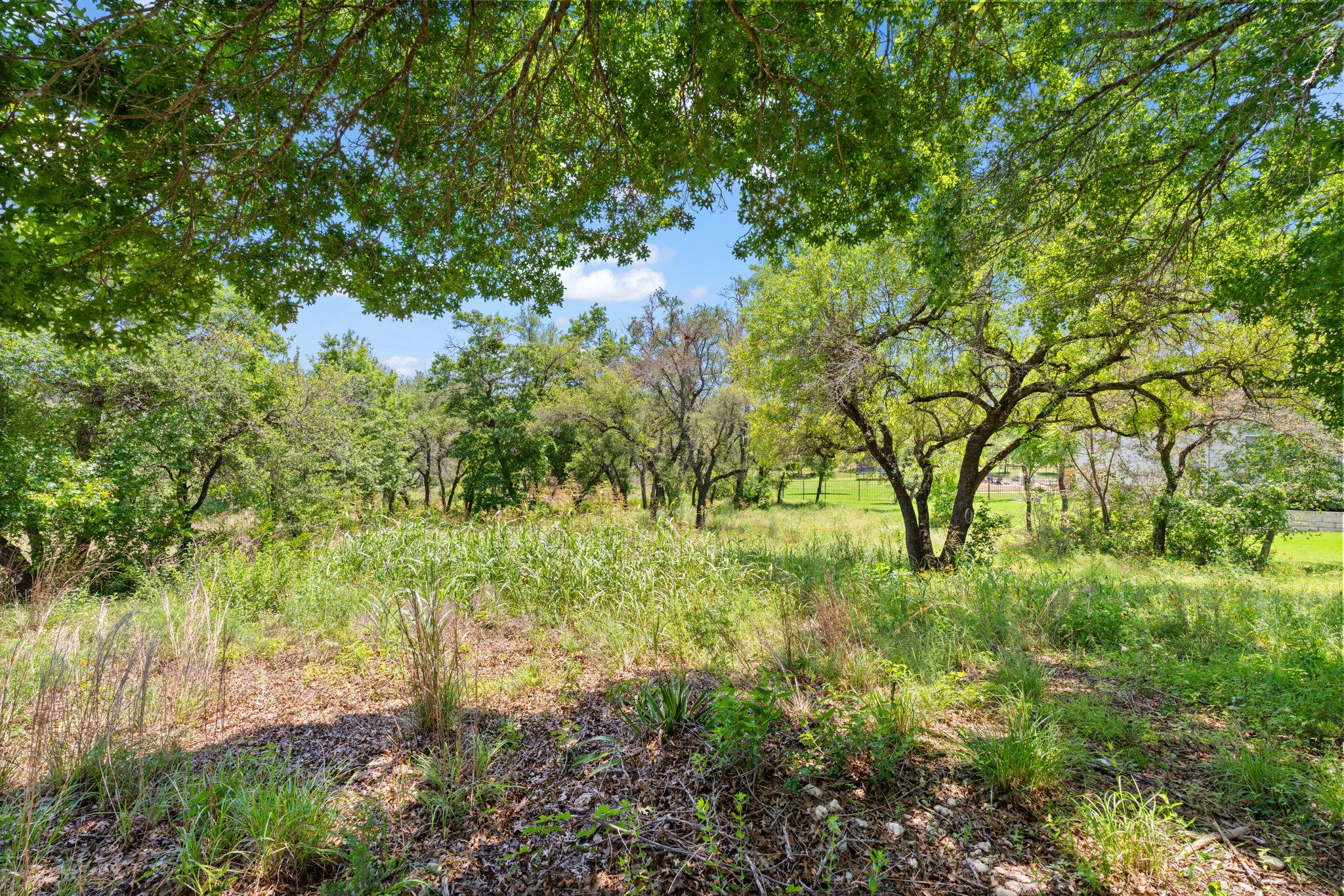 440 Ocate Mesa Trl, Liberty Hill, TX 78642