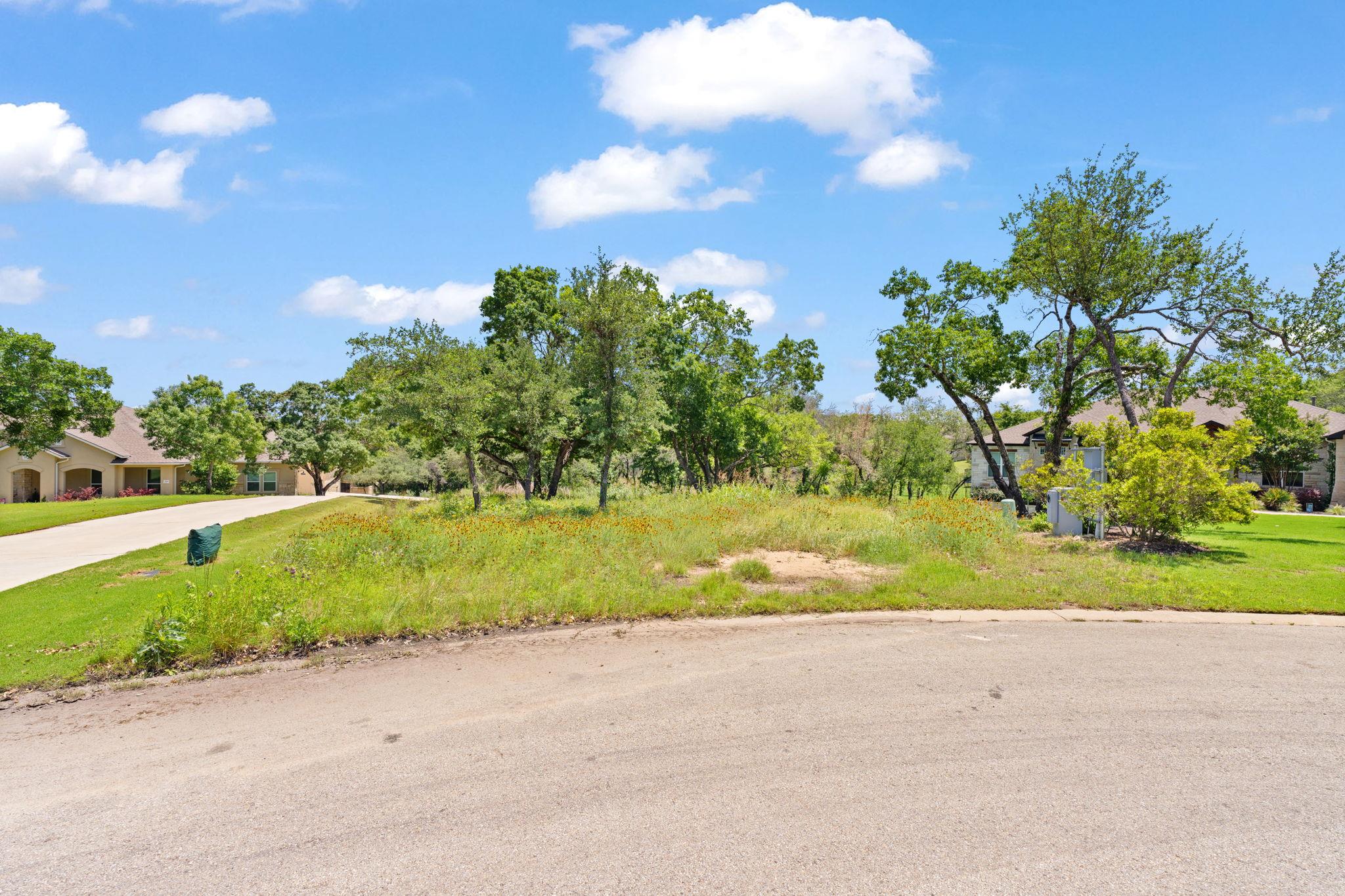 440 Ocate Mesa Trl, Liberty Hill, TX 78642