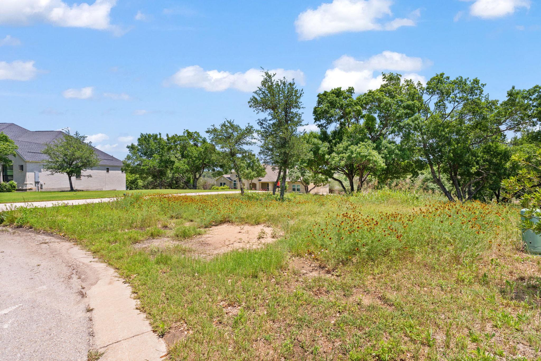 440 Ocate Mesa Trl, Liberty Hill, TX 78642