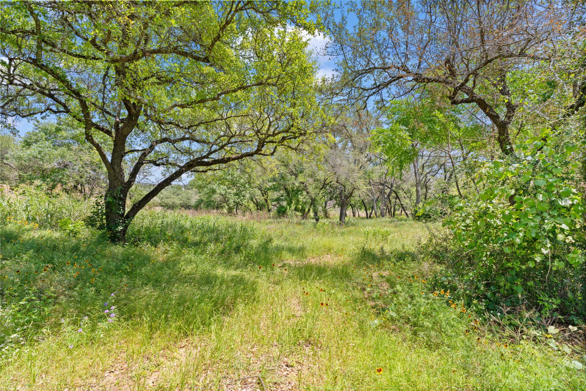 440 Ocate Mesa Trl, Liberty Hill, TX 78642