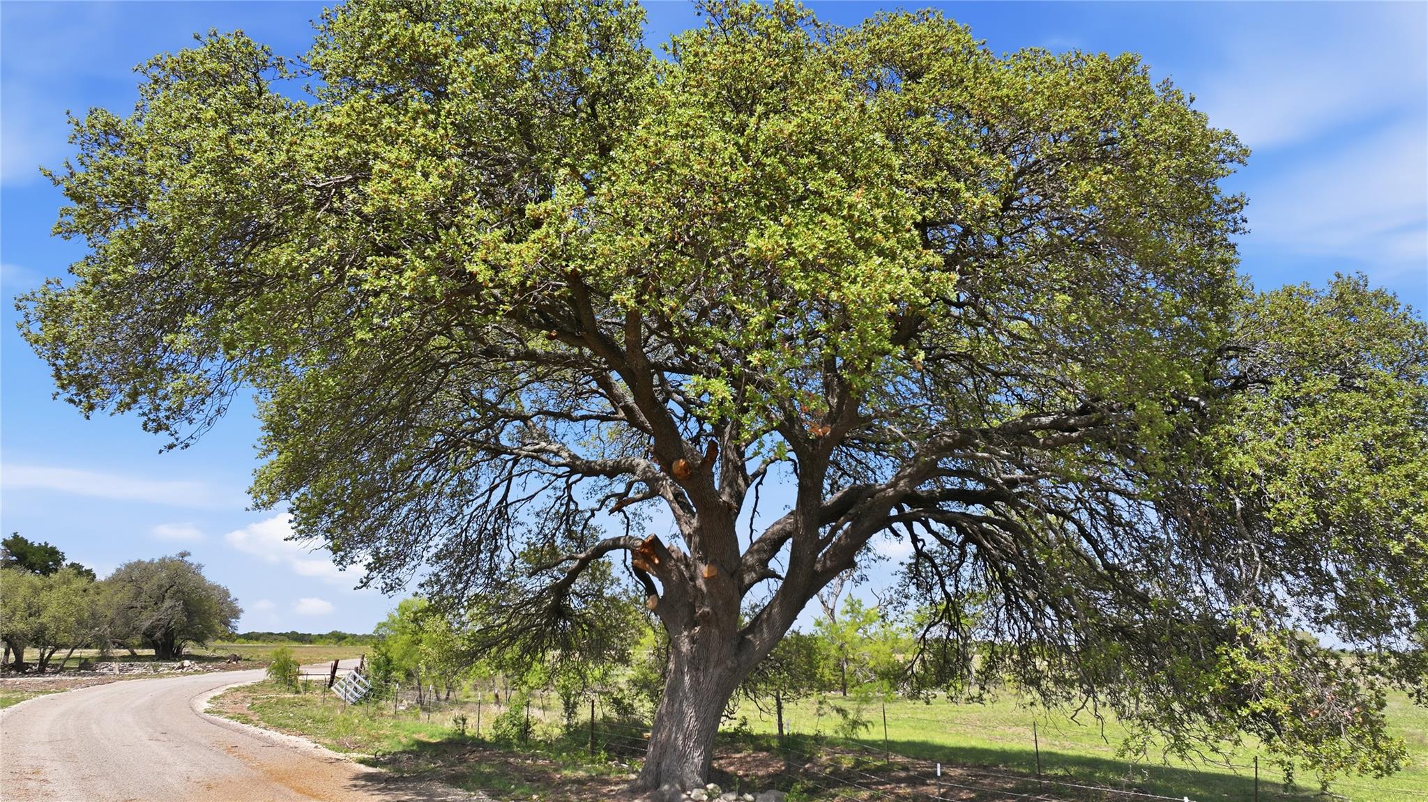 840-16 Goodnight-Loving Dr, Bertram, TX 78605