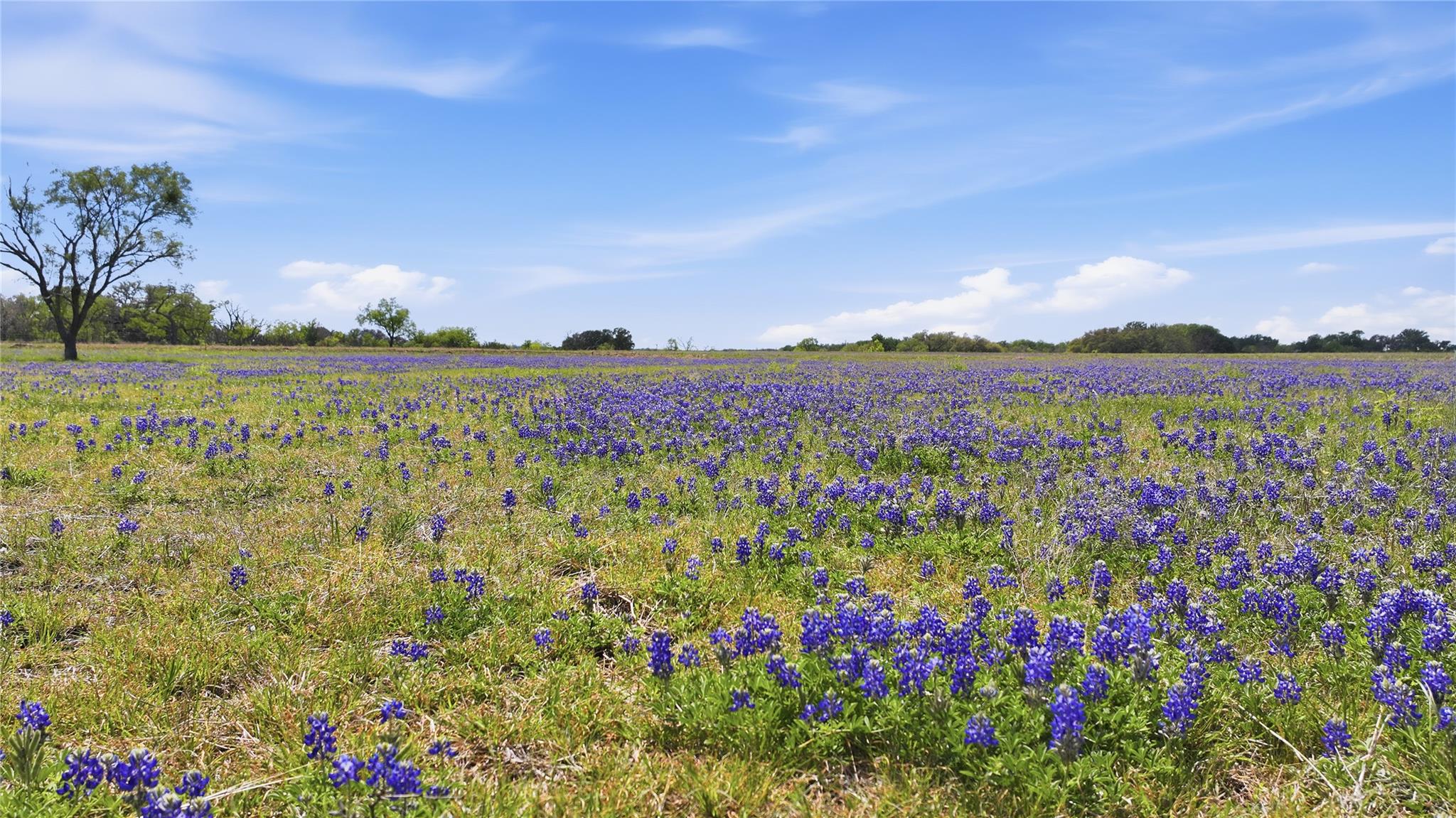 840-16 Goodnight-Loving Dr, Bertram, TX 78605