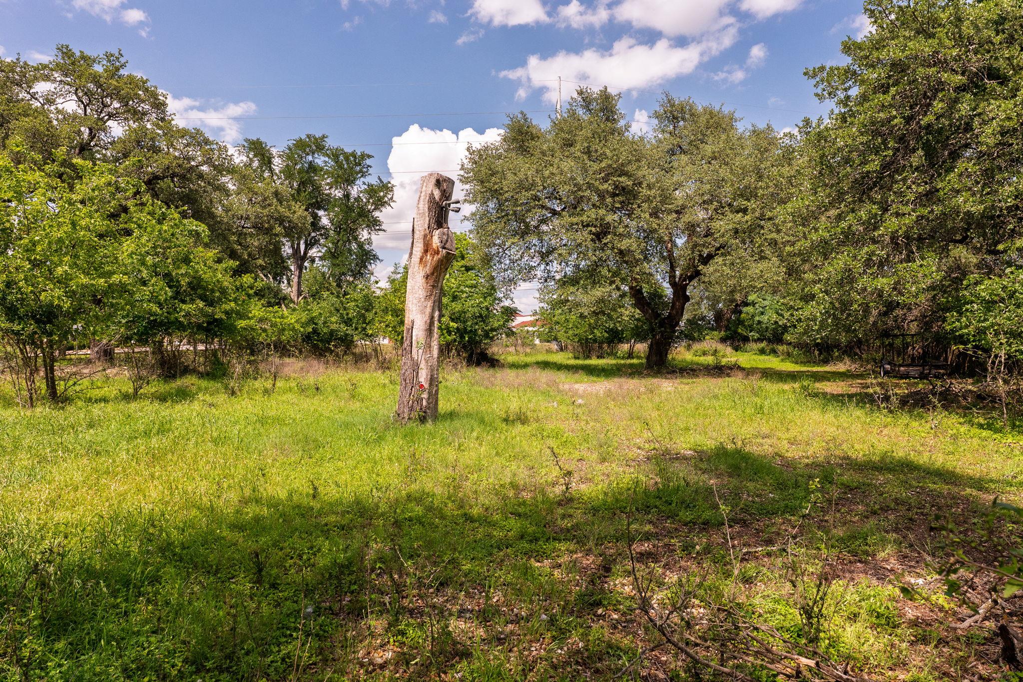 12182 Jollyville Rd, Austin, TX 78759