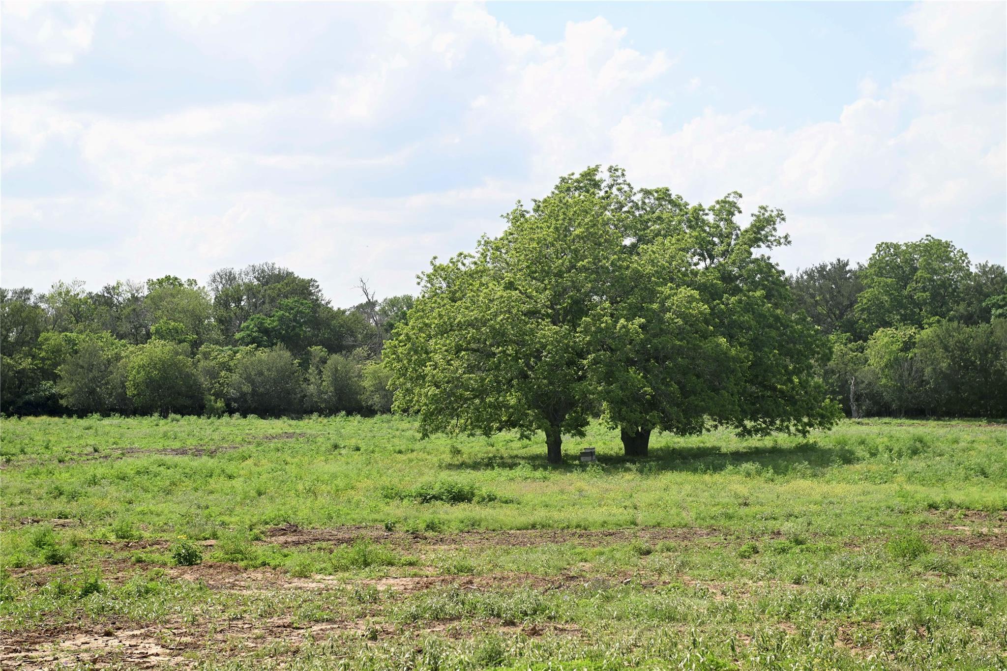 Lot 5 Valley Creek Dr, Cedar Creek, TX 78612
