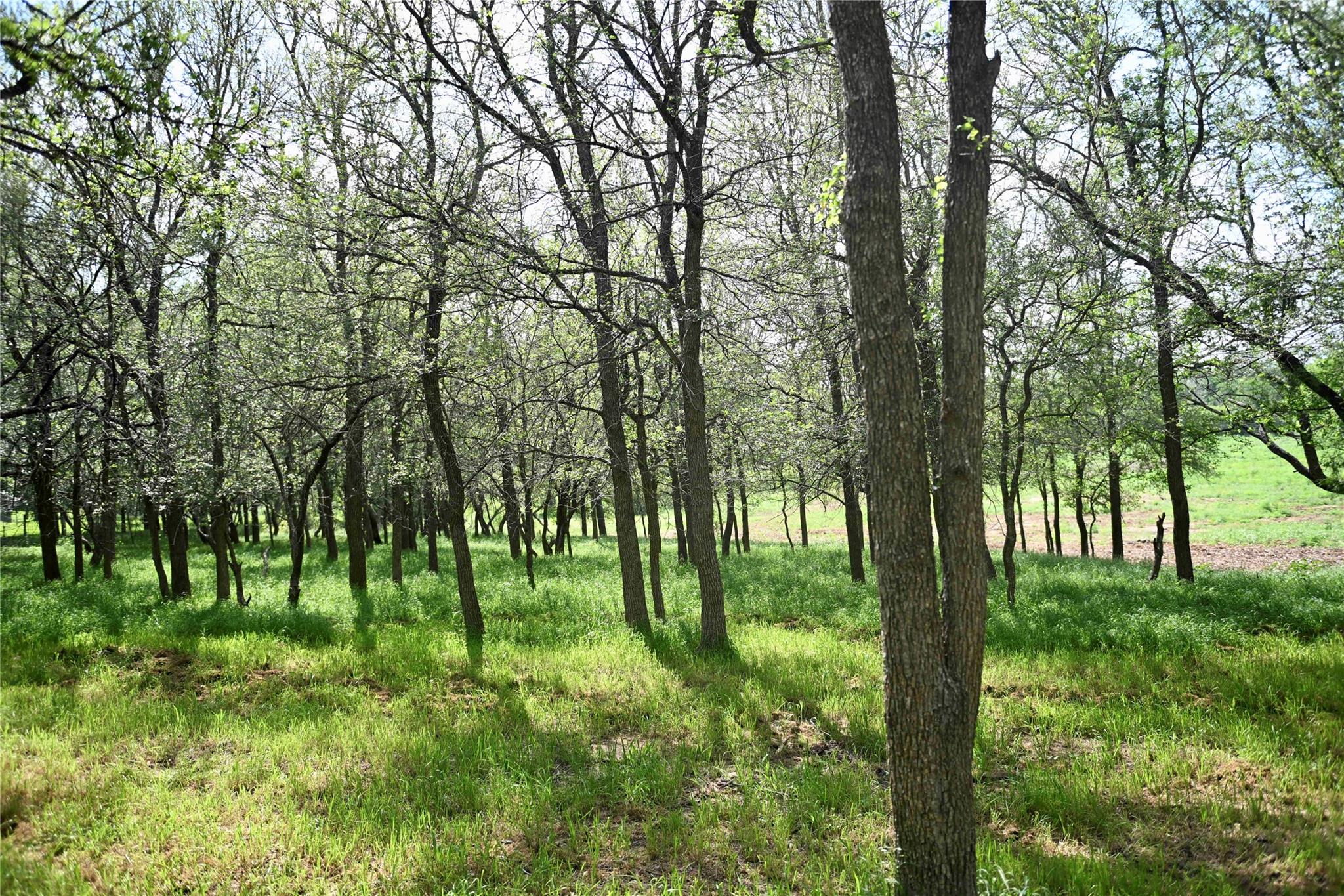 Lot 5 Valley Creek Dr, Cedar Creek, TX 78612