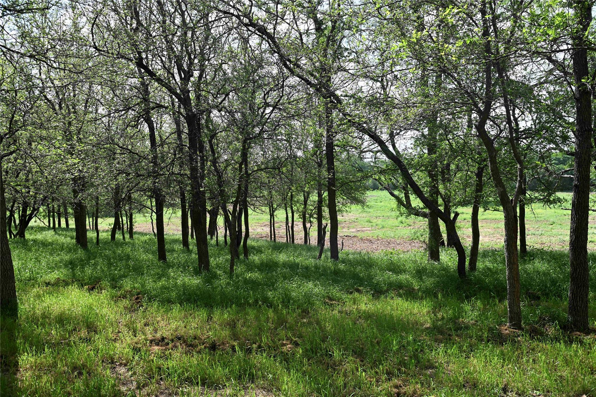 Lot 5 Valley Creek Dr, Cedar Creek, TX 78612