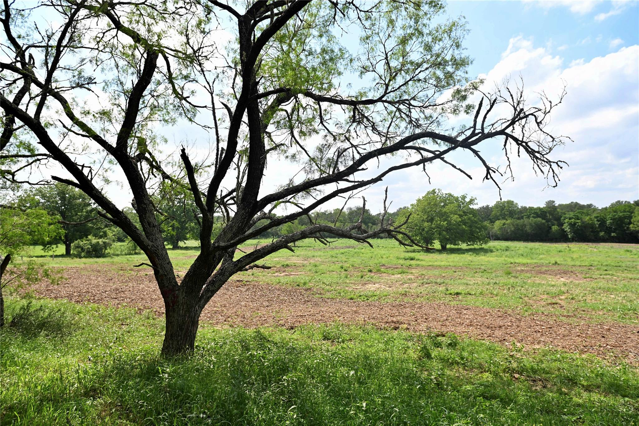 Lot 5 Valley Creek Dr, Cedar Creek, TX 78612