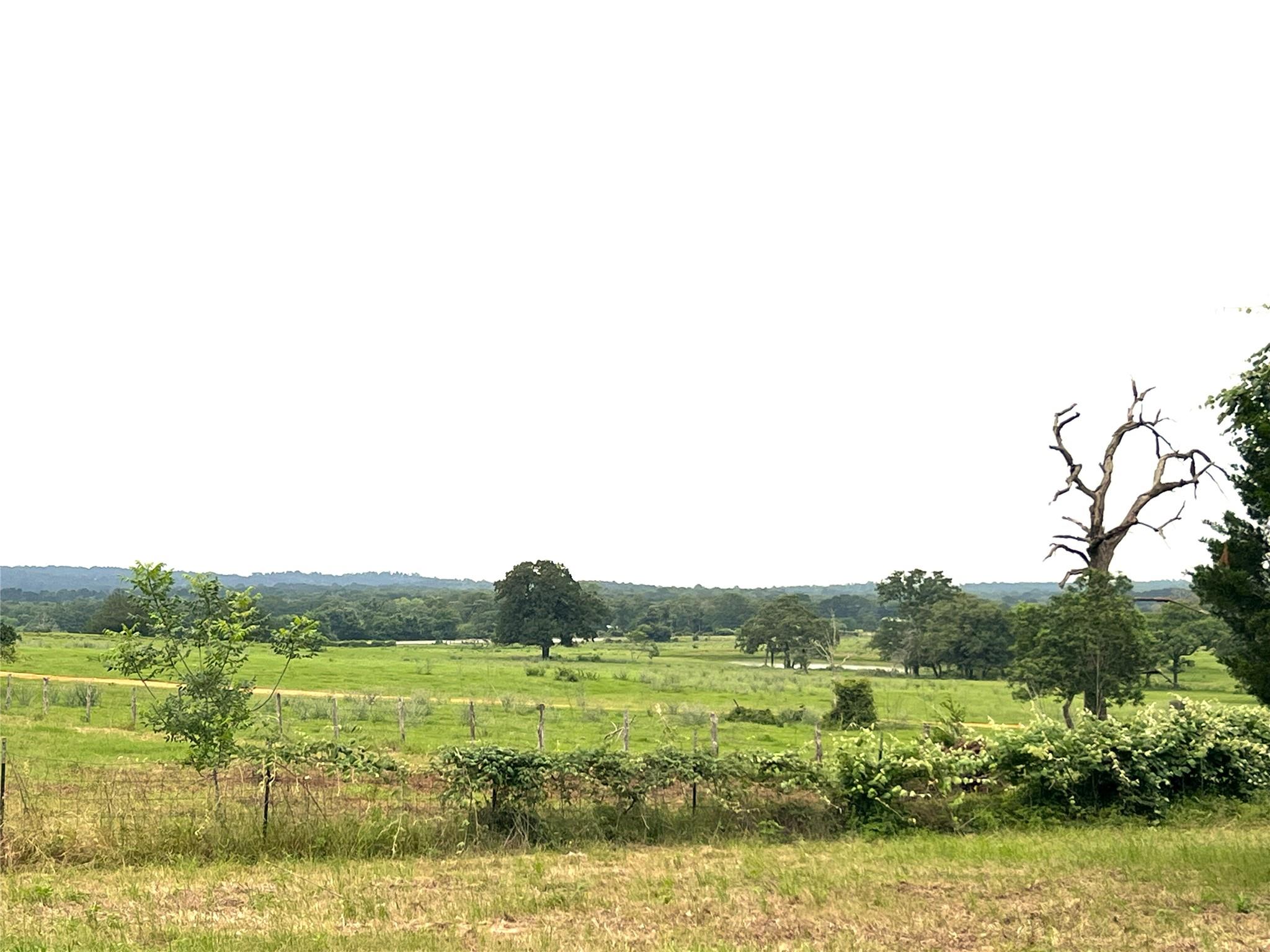 160 Rosanky Cattle Company Rd # R, Smithville, TX 78957
