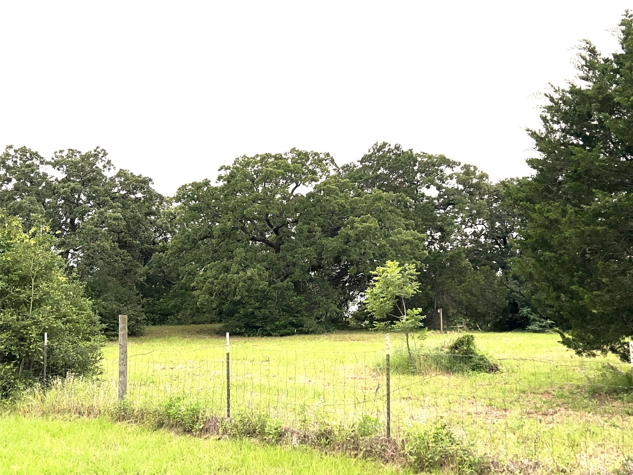 160 Rosanky Cattle Company Rd # R, Smithville, TX 78957