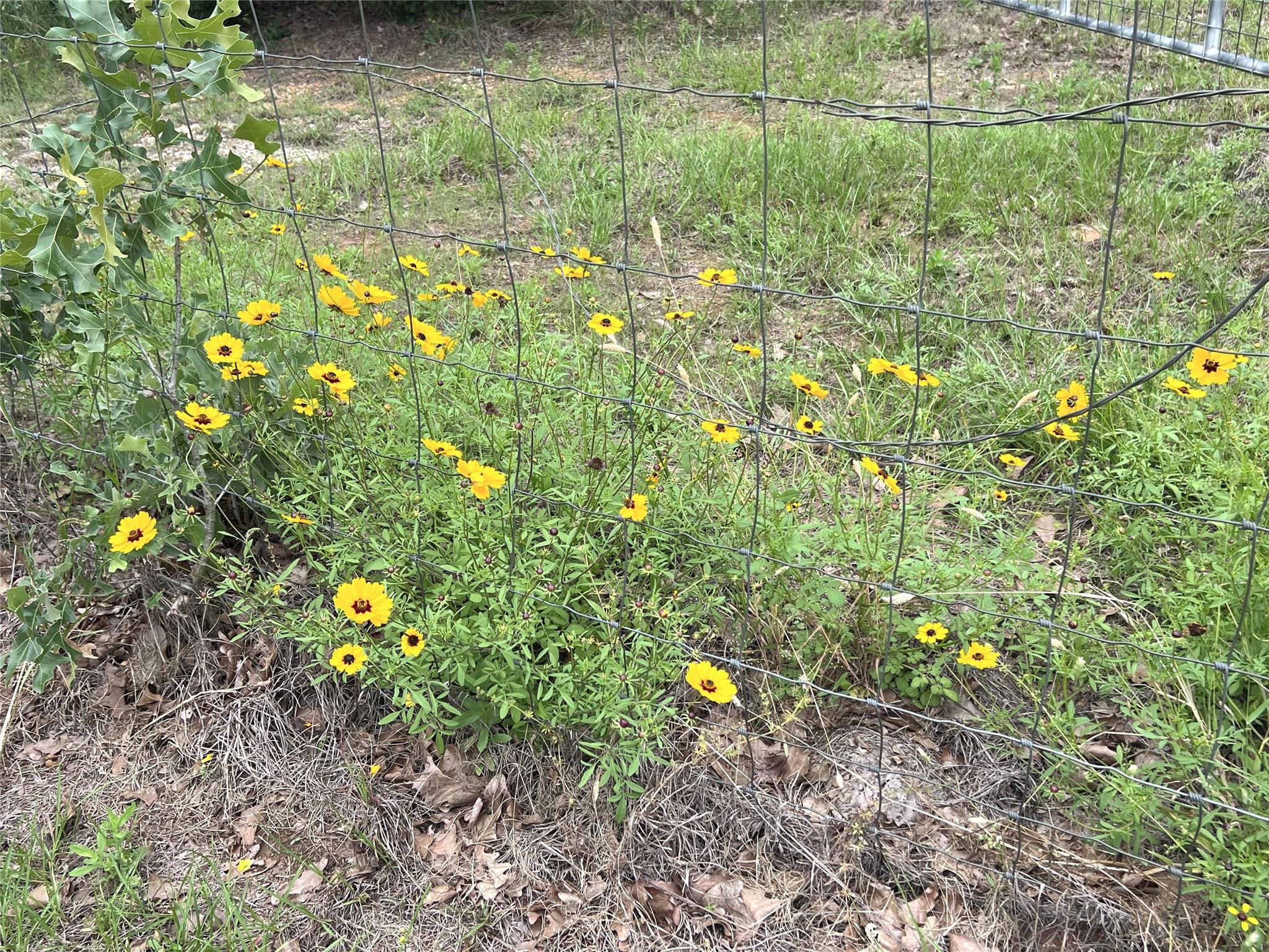 160 Rosanky Cattle Company Rd # R, Smithville, TX 78957
