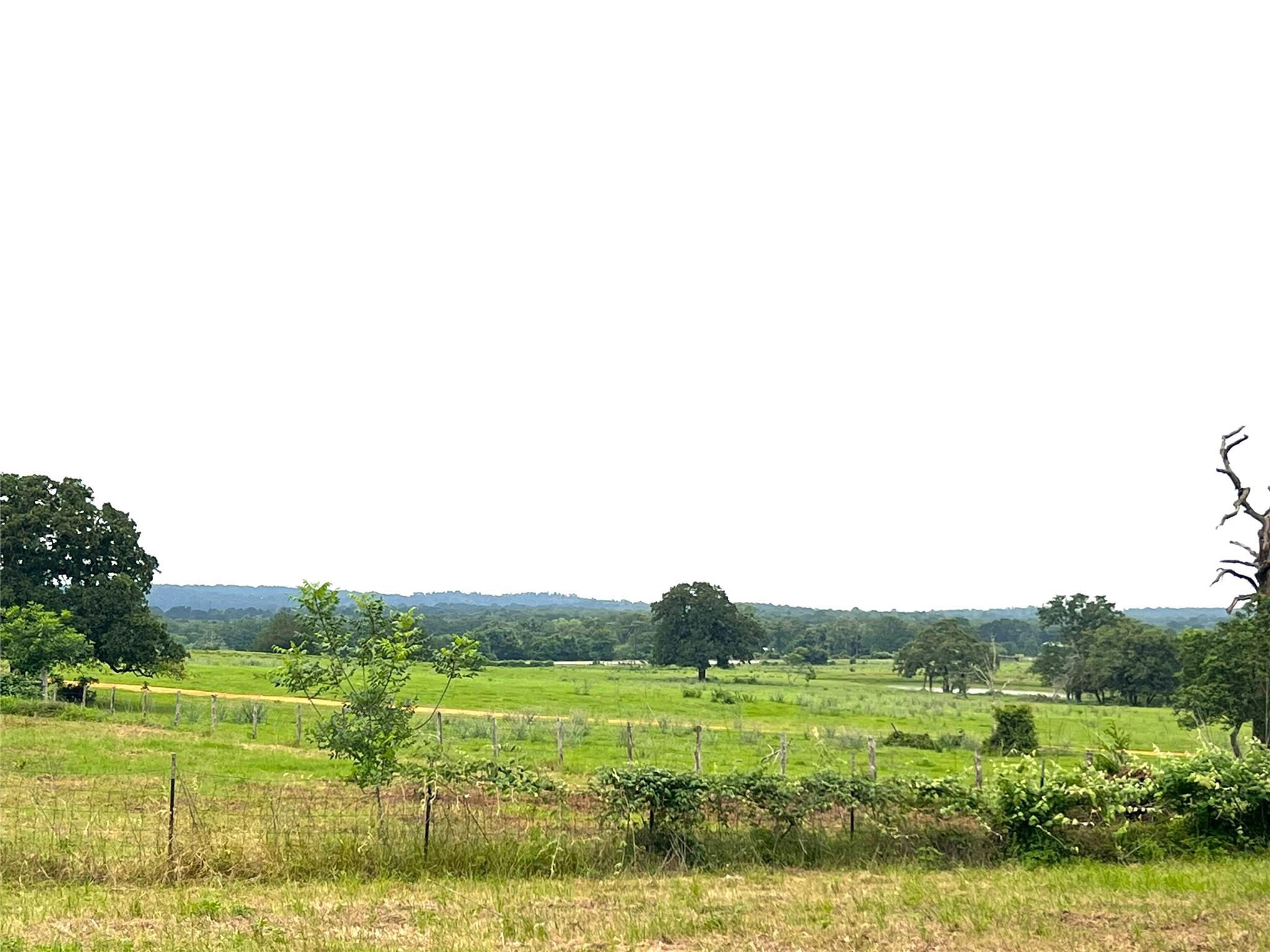 160 Rosanky Cattle Company Rd # R, Smithville, TX 78957