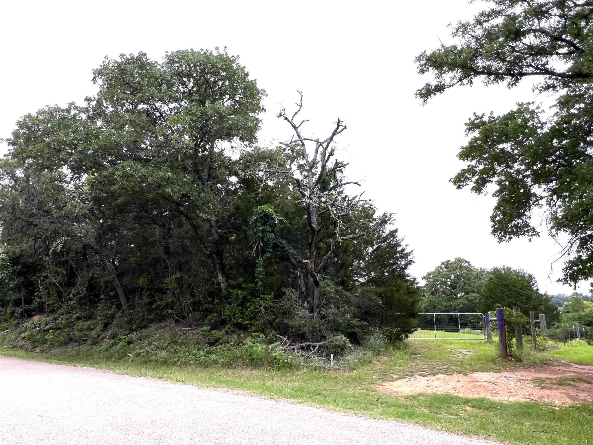 160 Rosanky Cattle Company Rd # R, Smithville, TX 78957