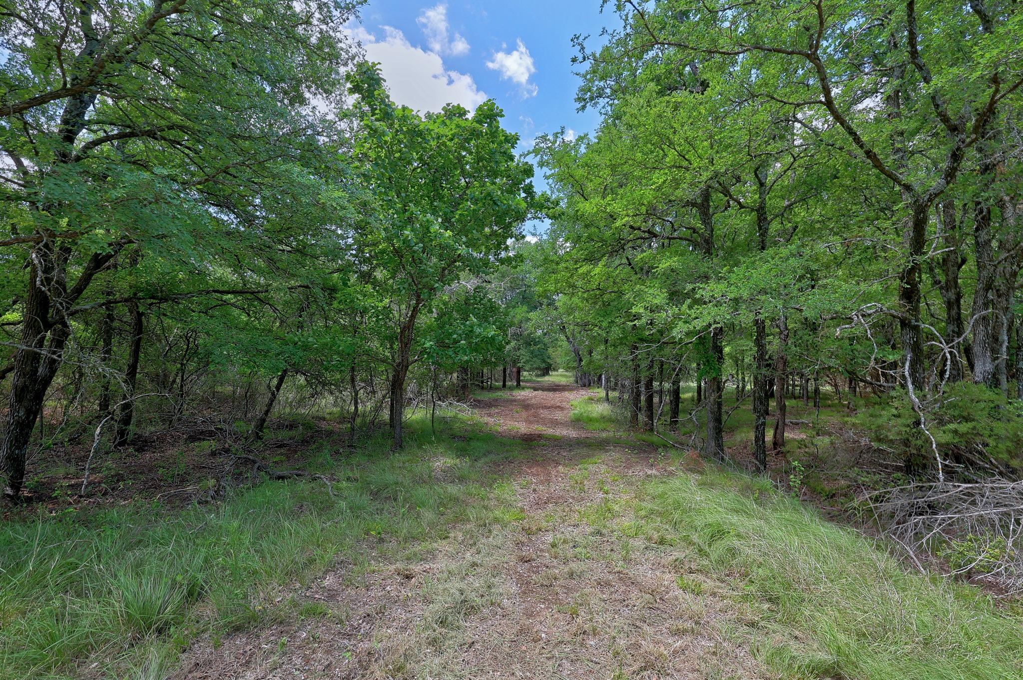 12200 Private Road 3641, Kempner, TX 76539