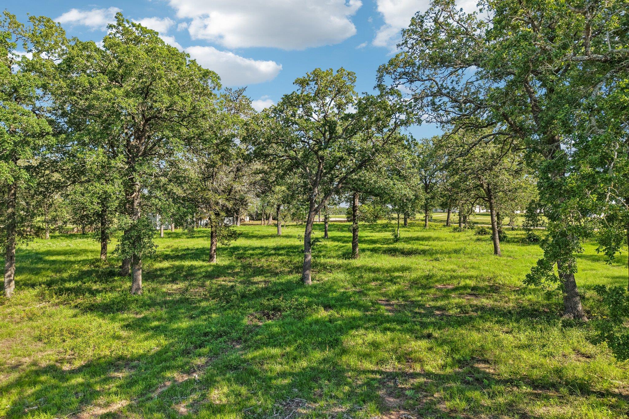 6 Acres County Road 211, Giddings, TX 78942