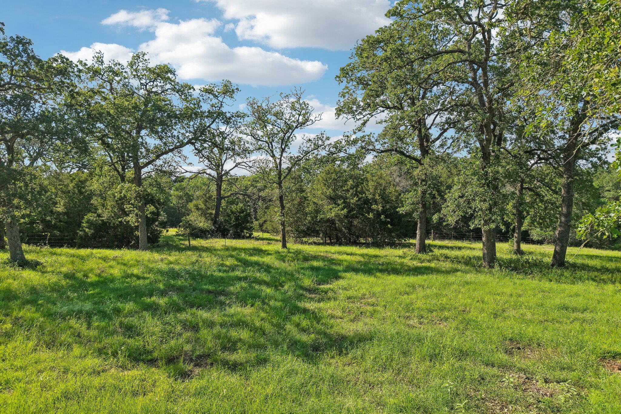 6 Acres County Road 211, Giddings, TX 78942