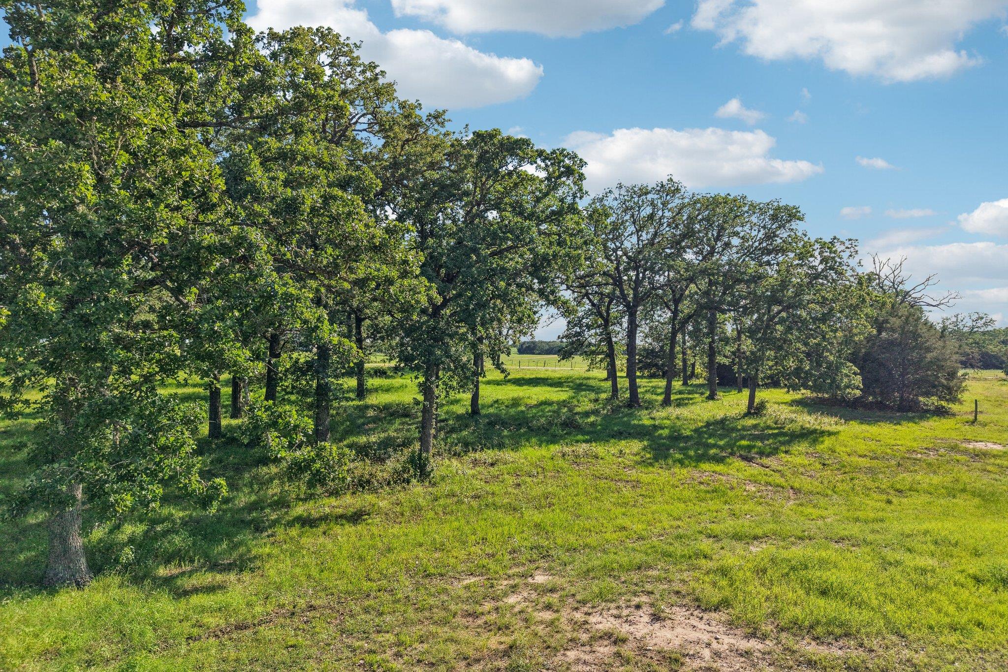 6 Acres County Road 211, Giddings, TX 78942
