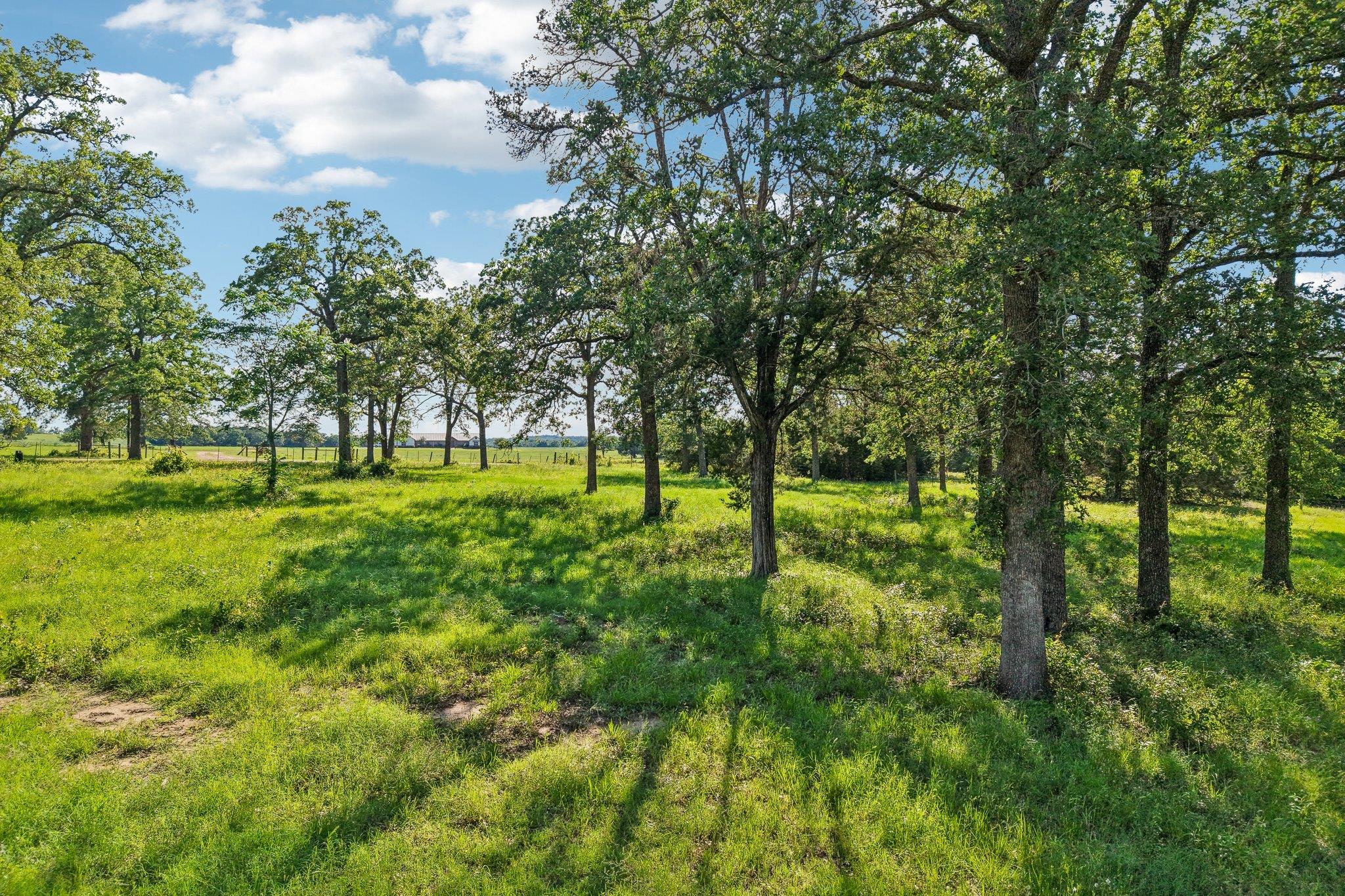 6 Acres County Road 211, Giddings, TX 78942