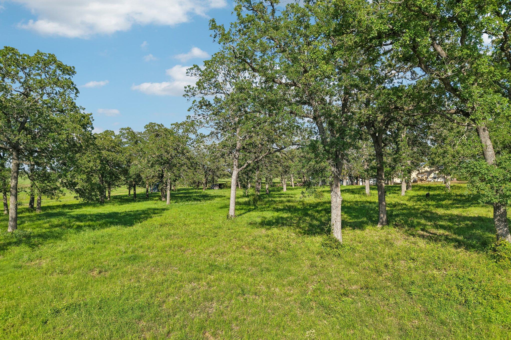 6 Acres County Road 211, Giddings, TX 78942