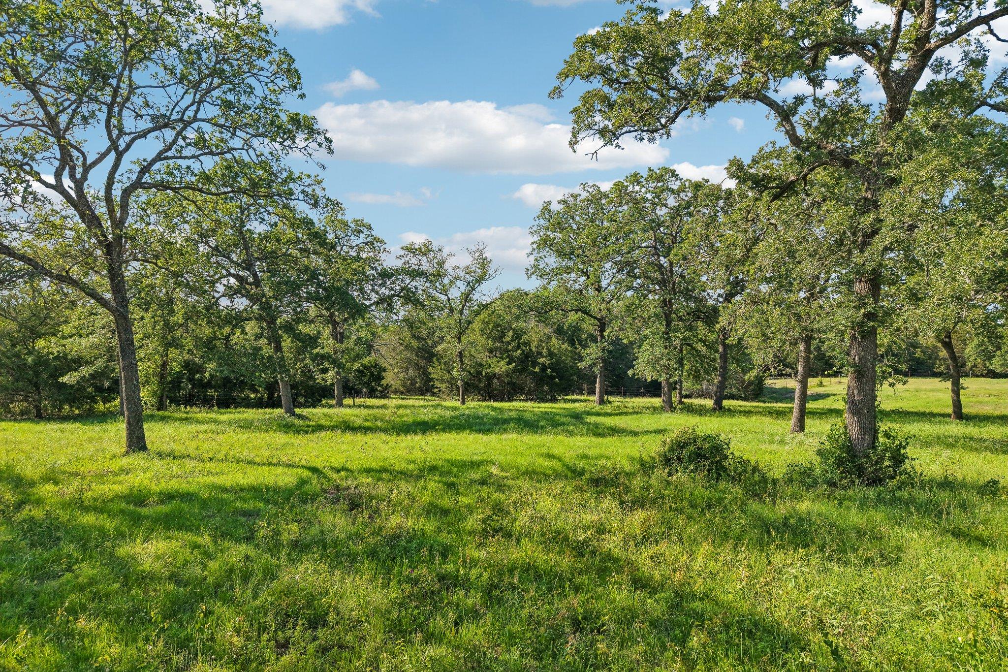 6 Acres County Road 211, Giddings, TX 78942