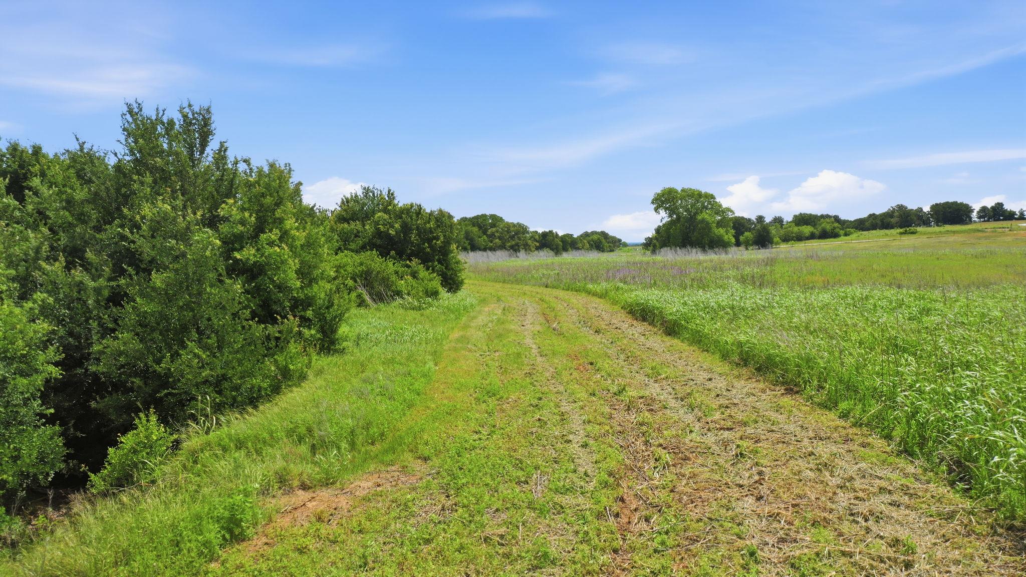 TBD Cr 495, De Leon, TX 76444