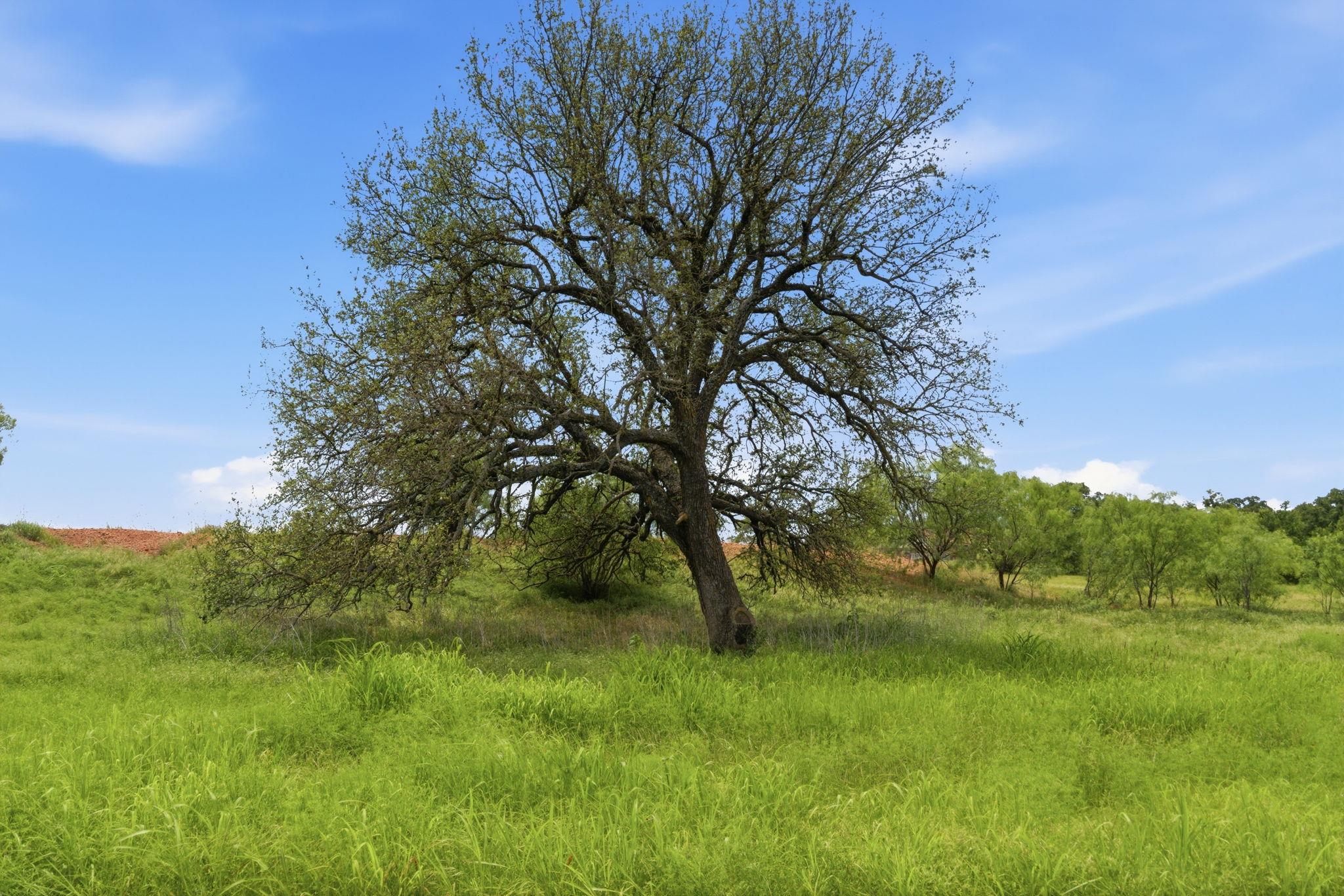 TBD Cr 495, De Leon, TX 76444