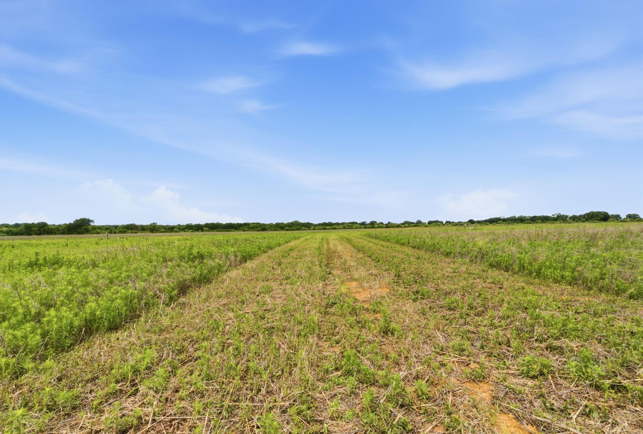 TBD Cr 495, De Leon, TX 76444