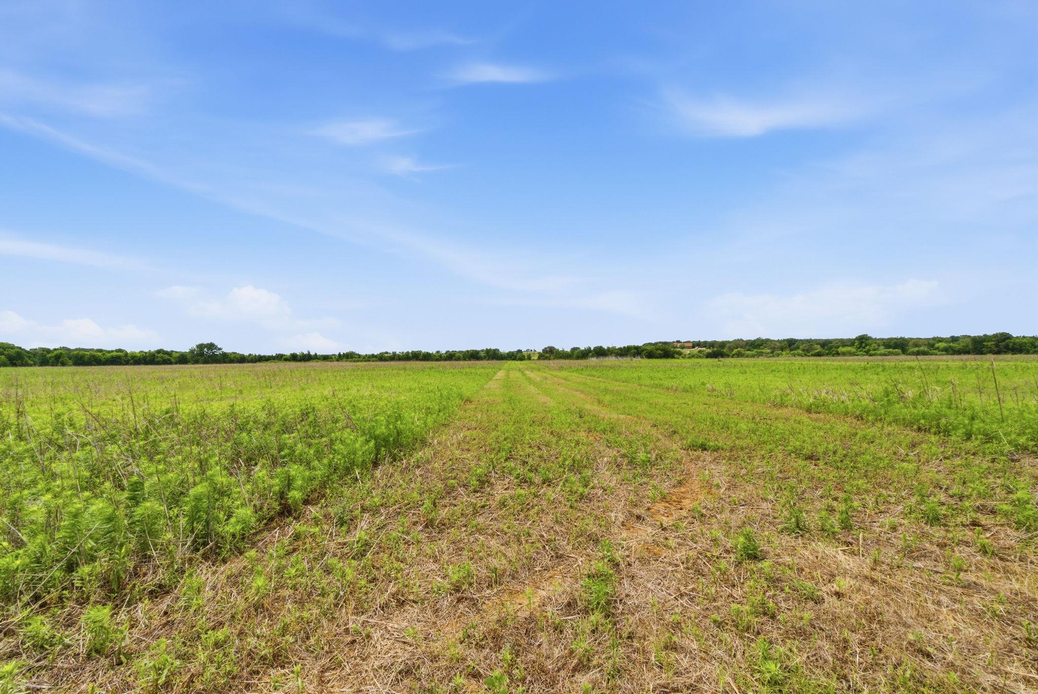 TBD Cr 495, De Leon, TX 76444
