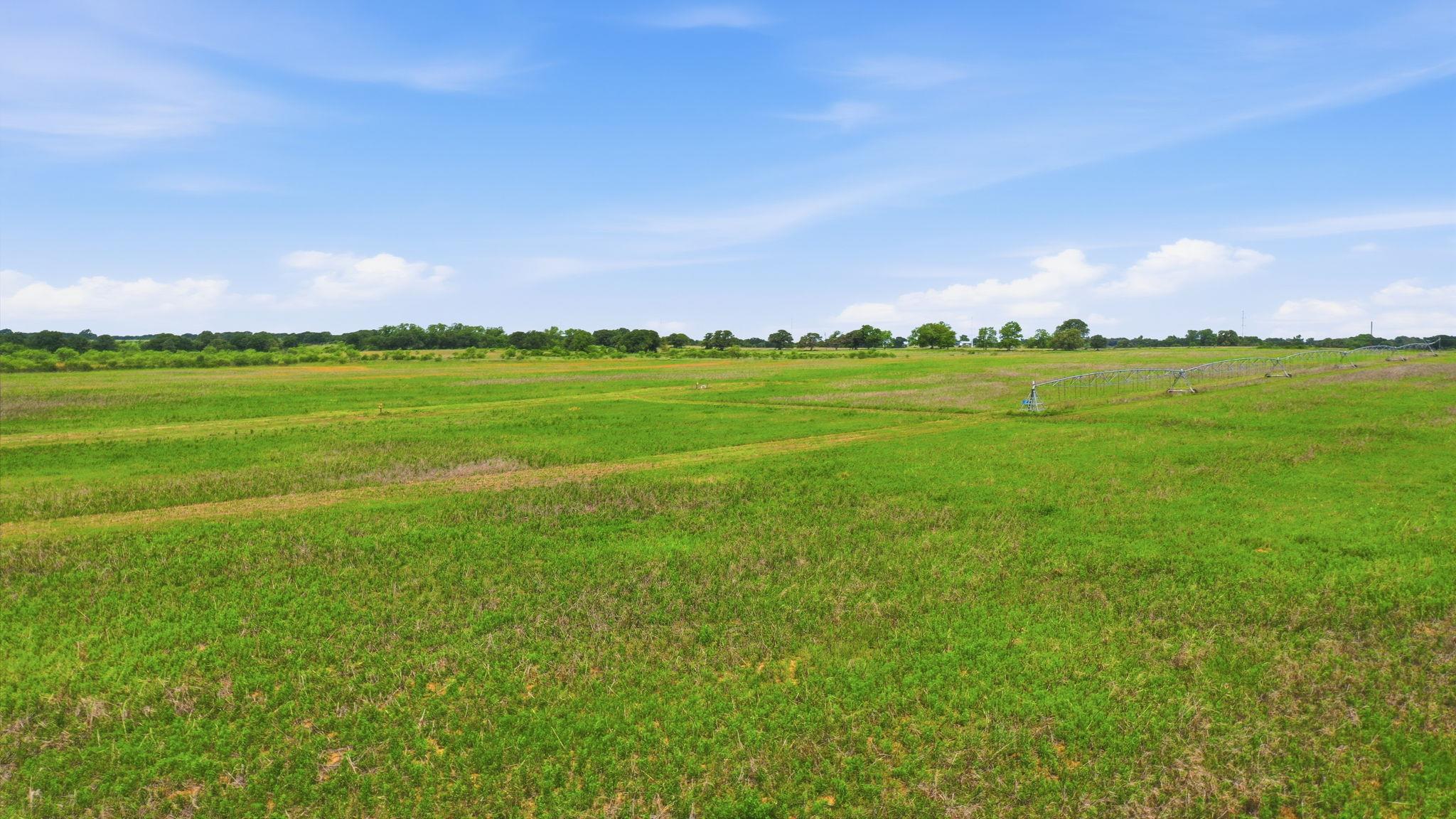 TBD Cr 495, De Leon, TX 76444