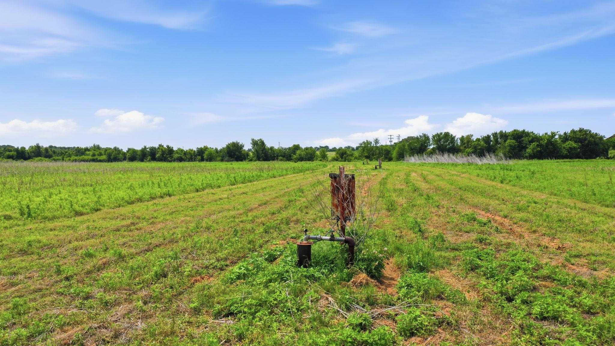 TBD Cr 495, De Leon, TX 76444