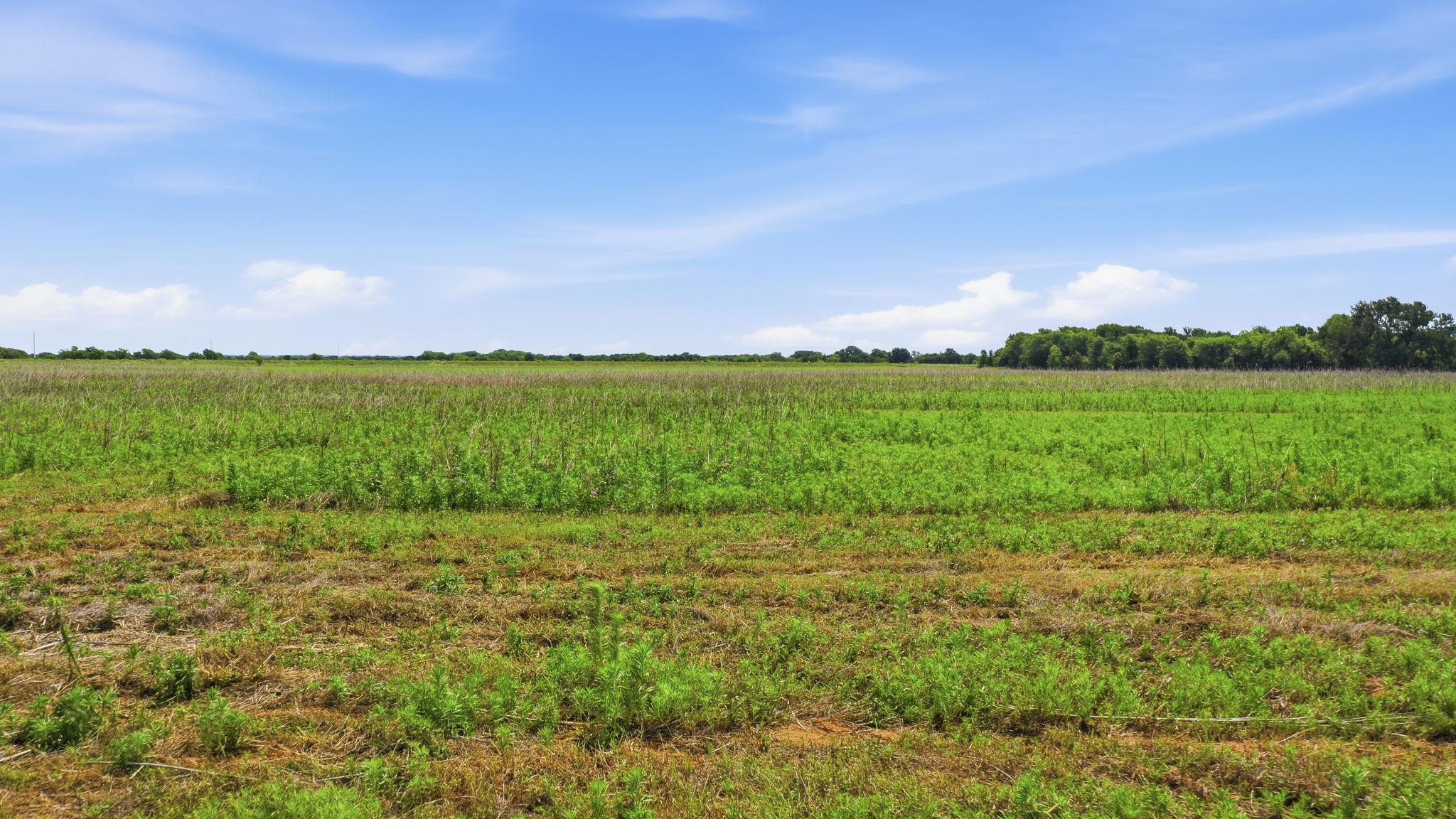 TBD Cr 495, De Leon, TX 76444