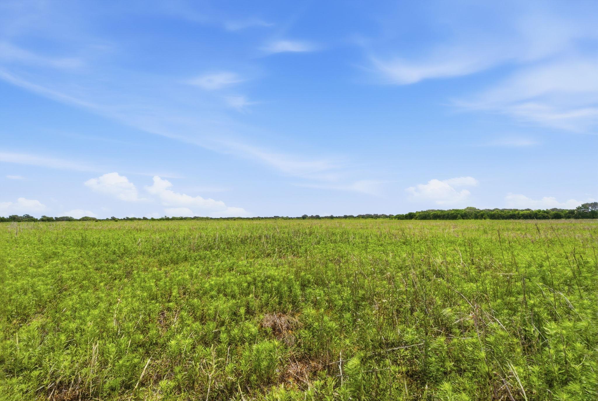 TBD Cr 495, De Leon, TX 76444