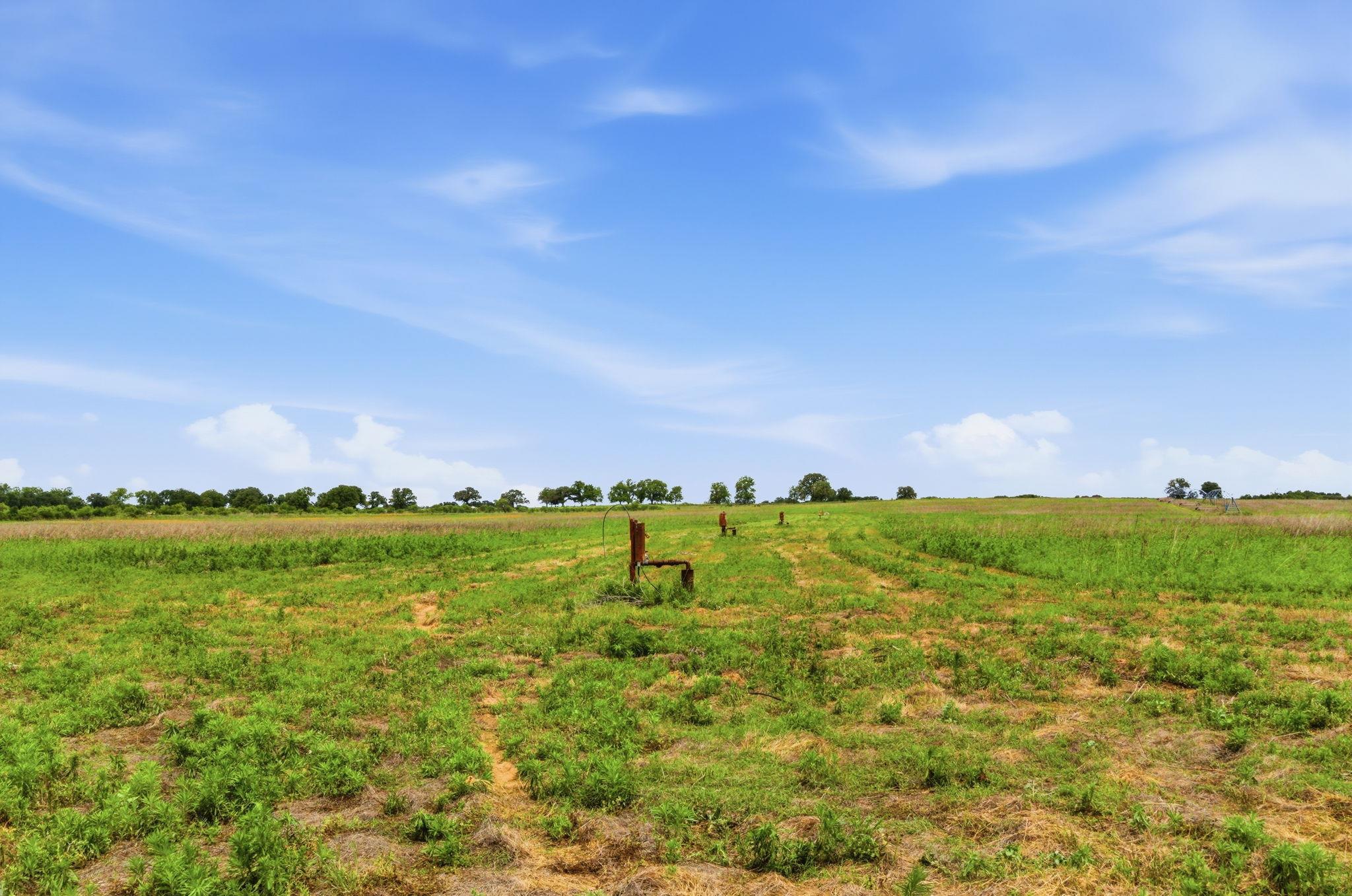 TBD Cr 495, De Leon, TX 76444
