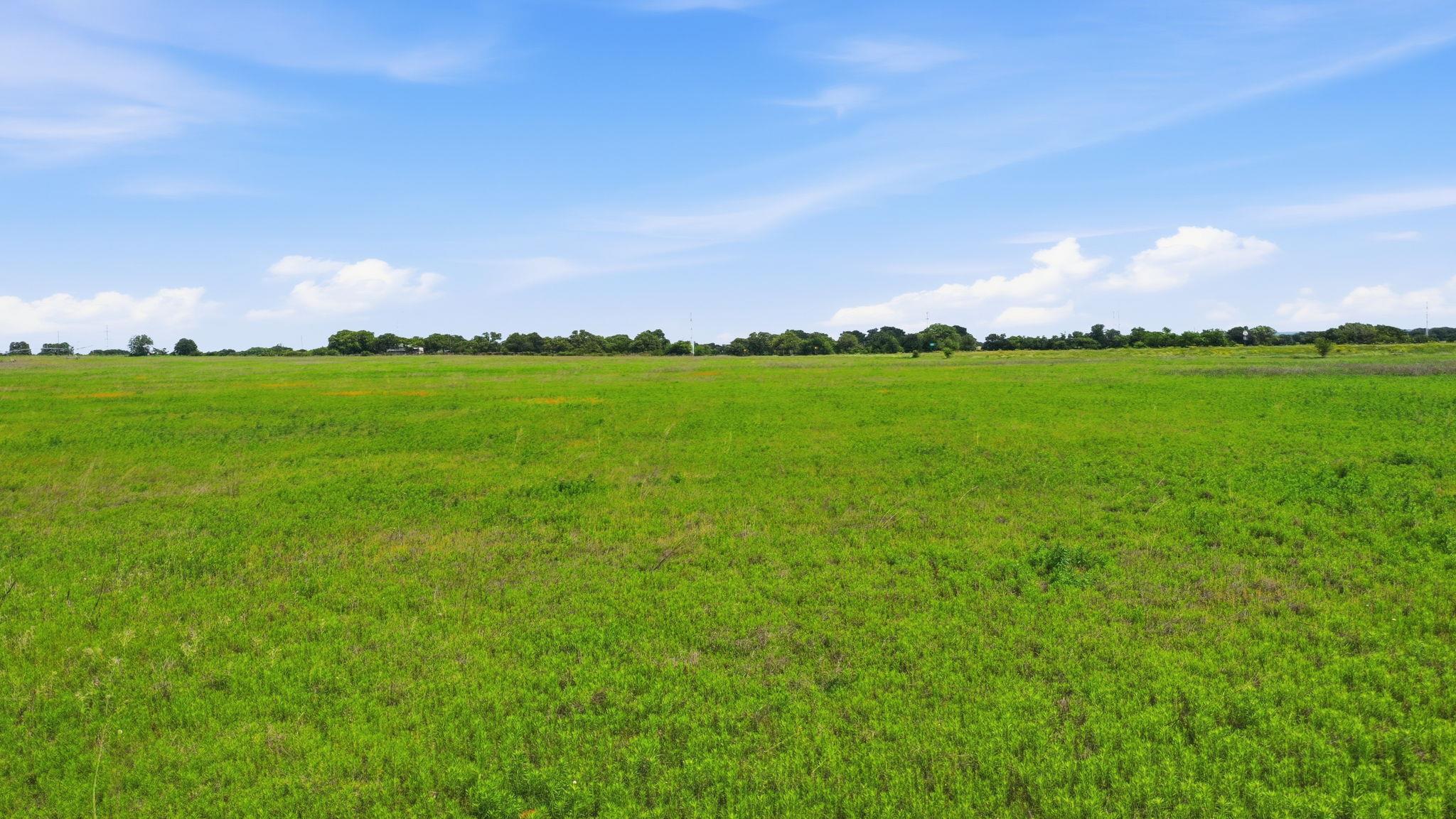 TBD Cr 495, De Leon, TX 76444
