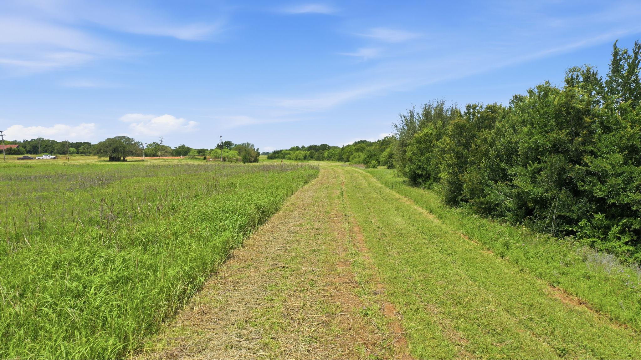 TBD Cr 495, De Leon, TX 76444