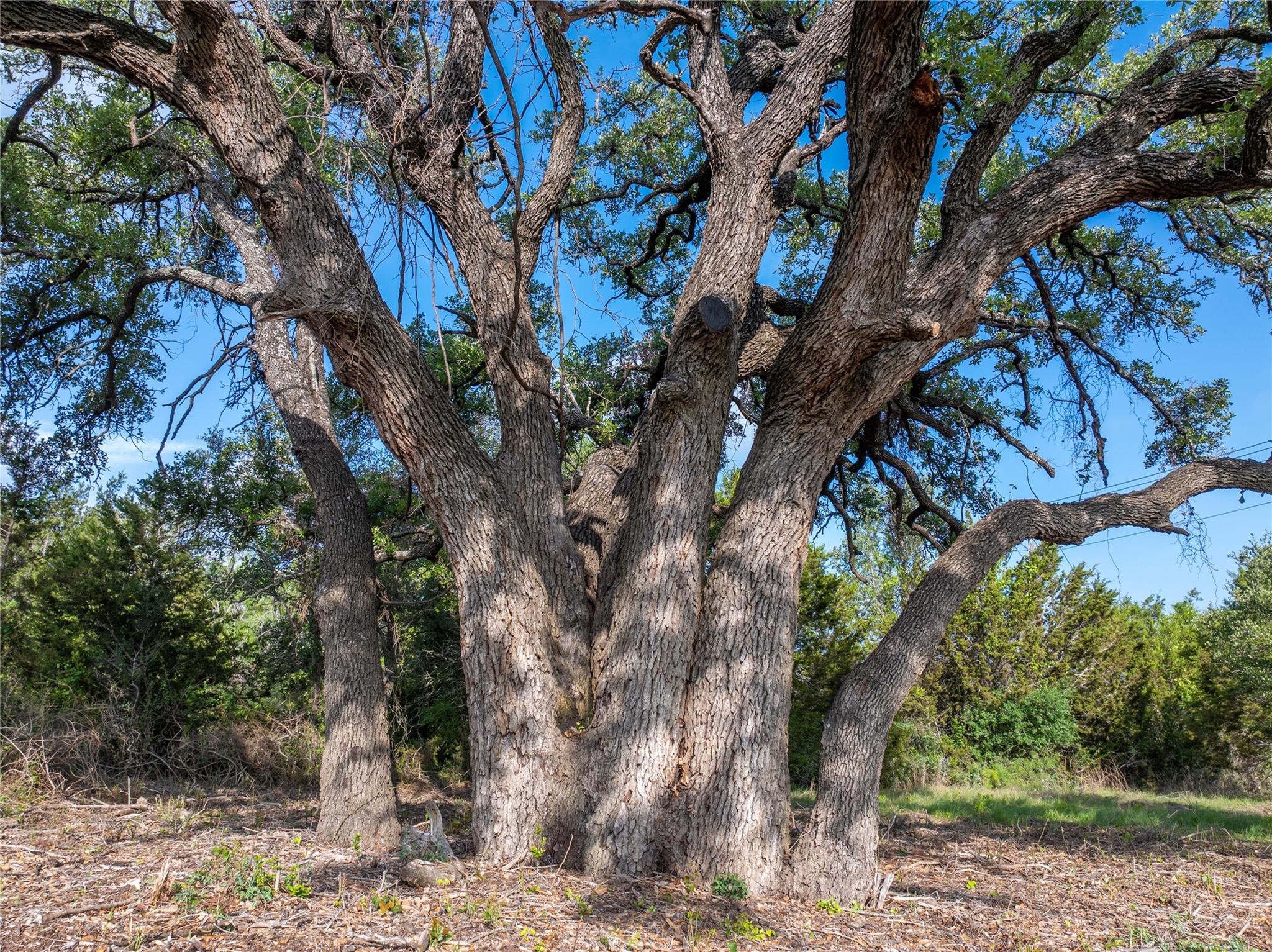 000 CR103, Burnet, TX 76550