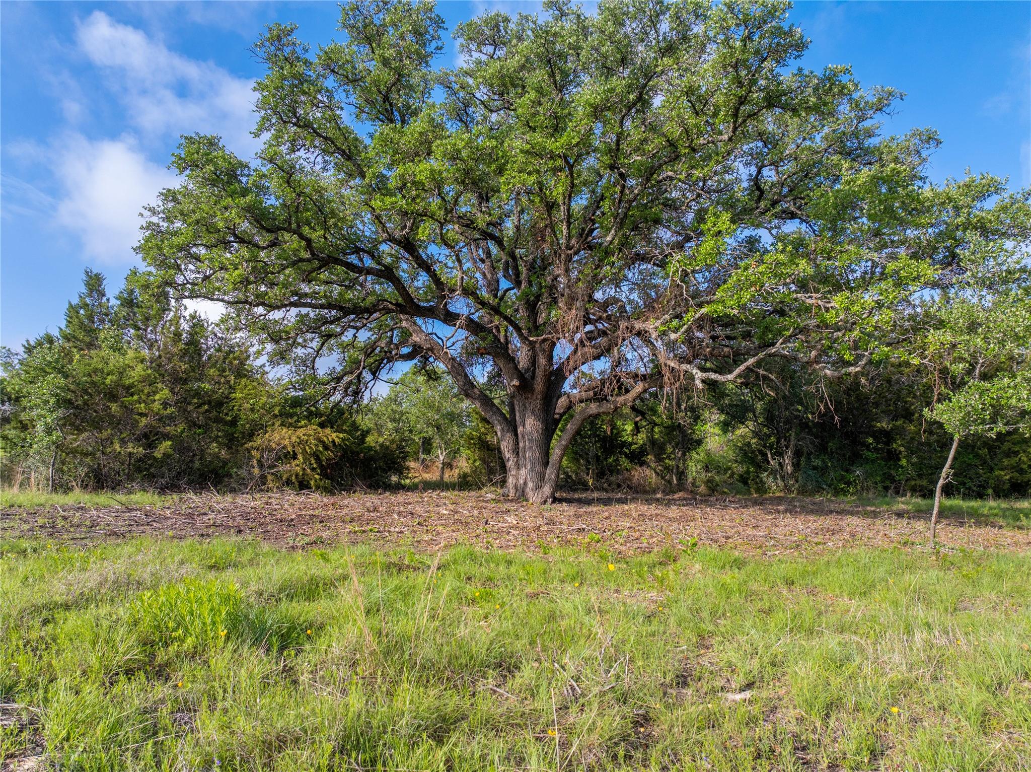 000 CR103, Burnet, TX 76550