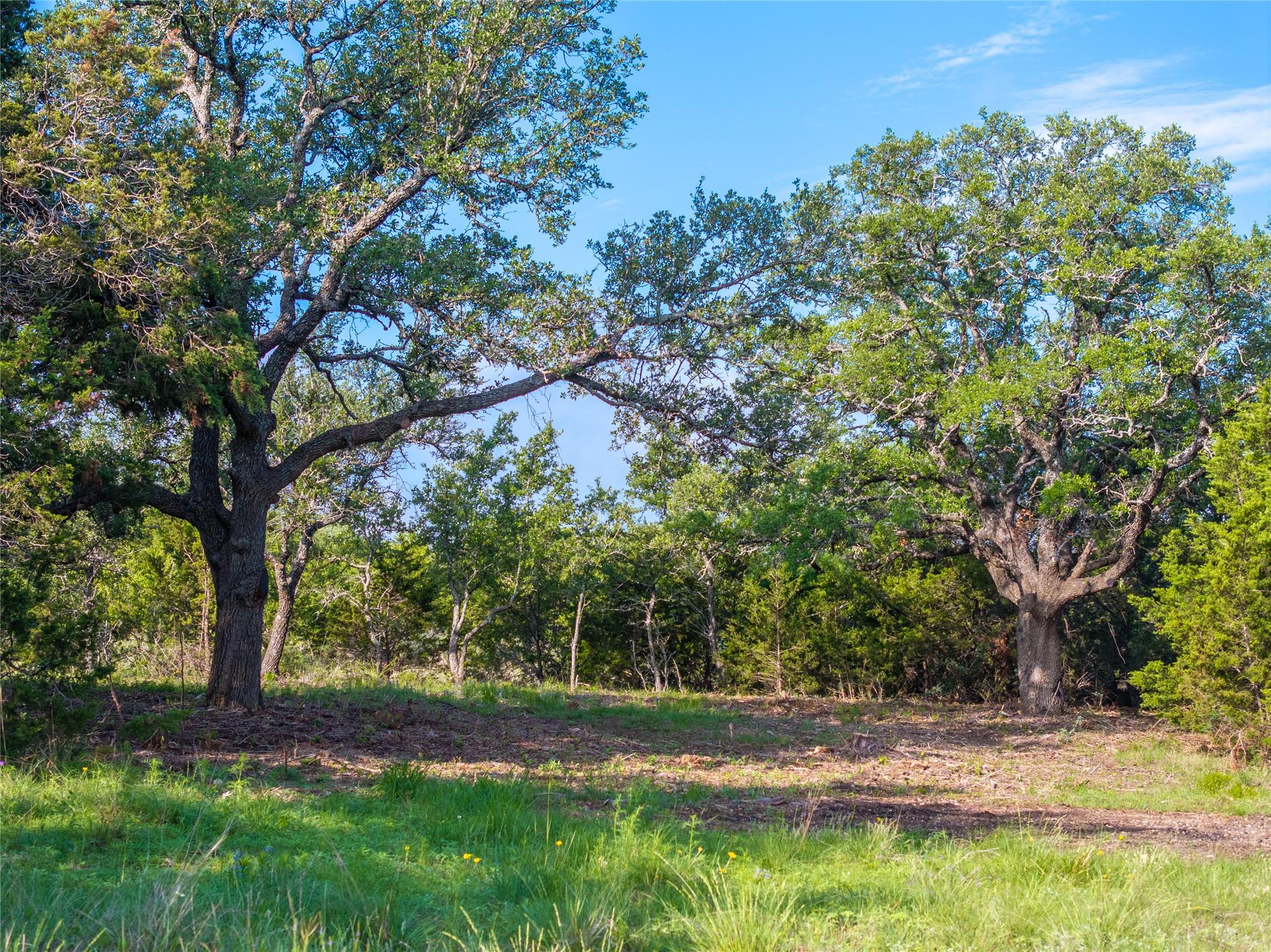 000 CR103, Burnet, TX 76550